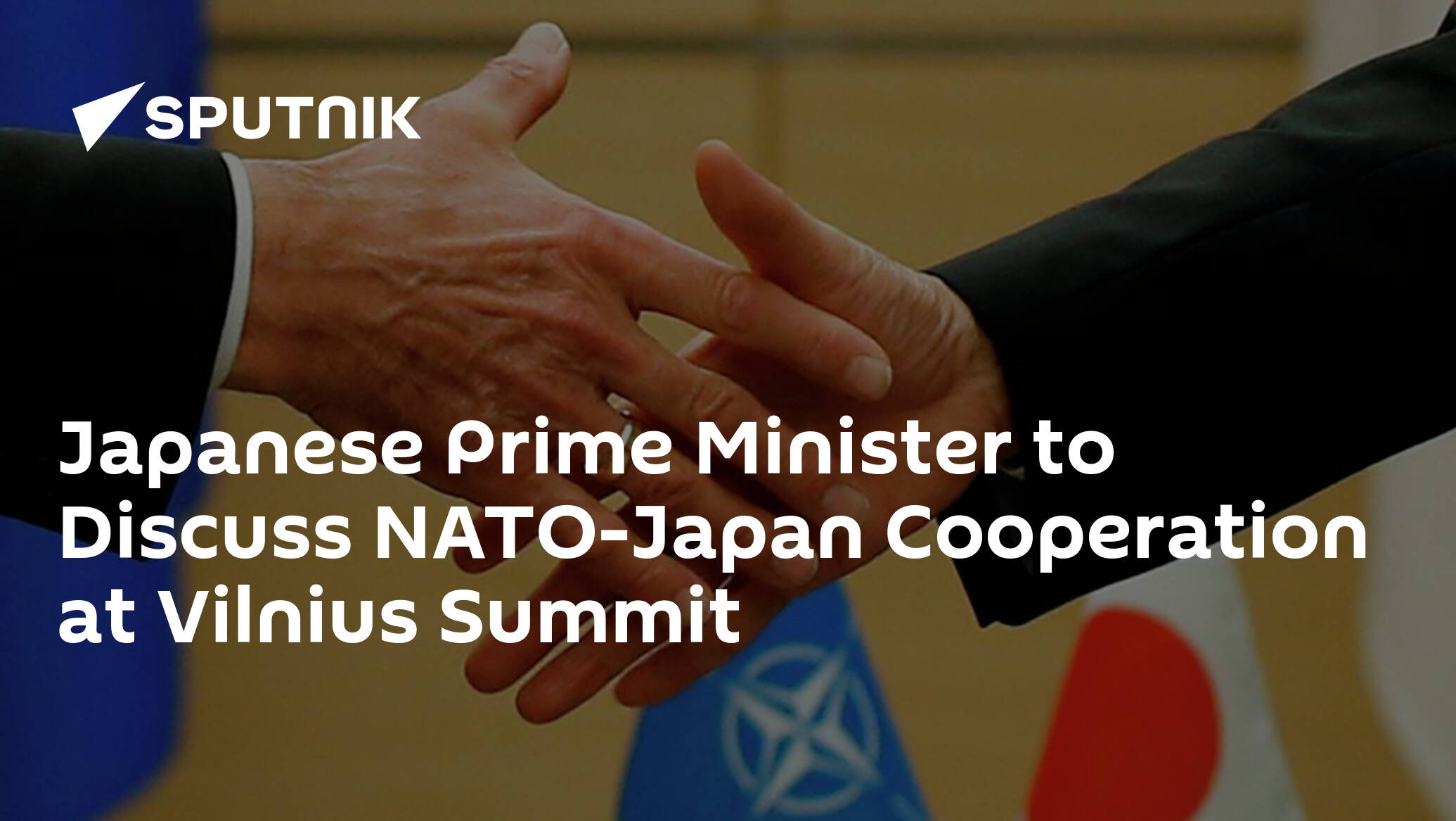 Japanese Prime Minister to Discuss NATO-Japan Cooperation at Vilnius Summit