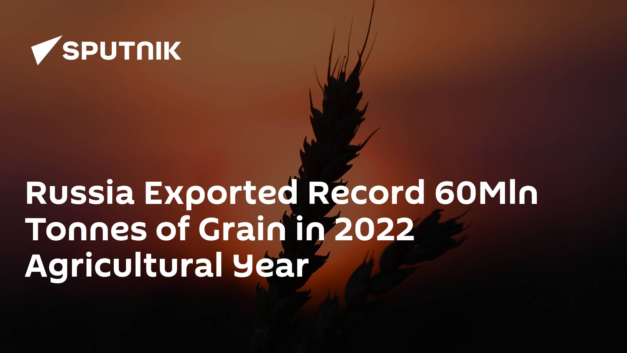 Russia Exported Record 60Mln Tonnes of Grain in 2022 Agricultural Year