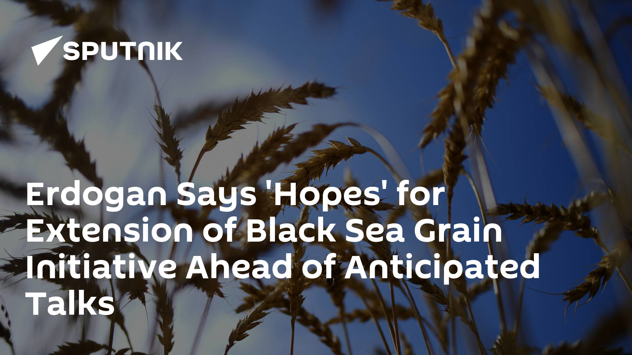 Erdogan Says 'Hopes' for Extension of Black Sea Grain Initiative Ahead of Anticipated Talks