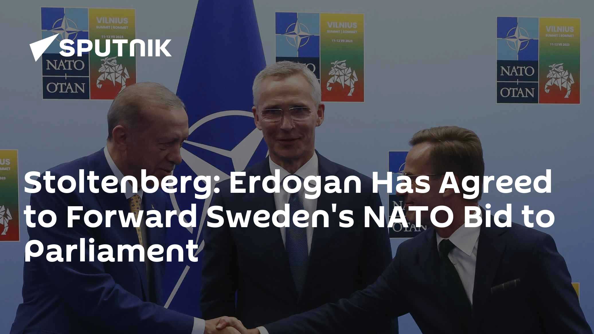 Stoltenberg: Erdogan Has Agreed to Forward Sweden's NATO Bid to Parliament