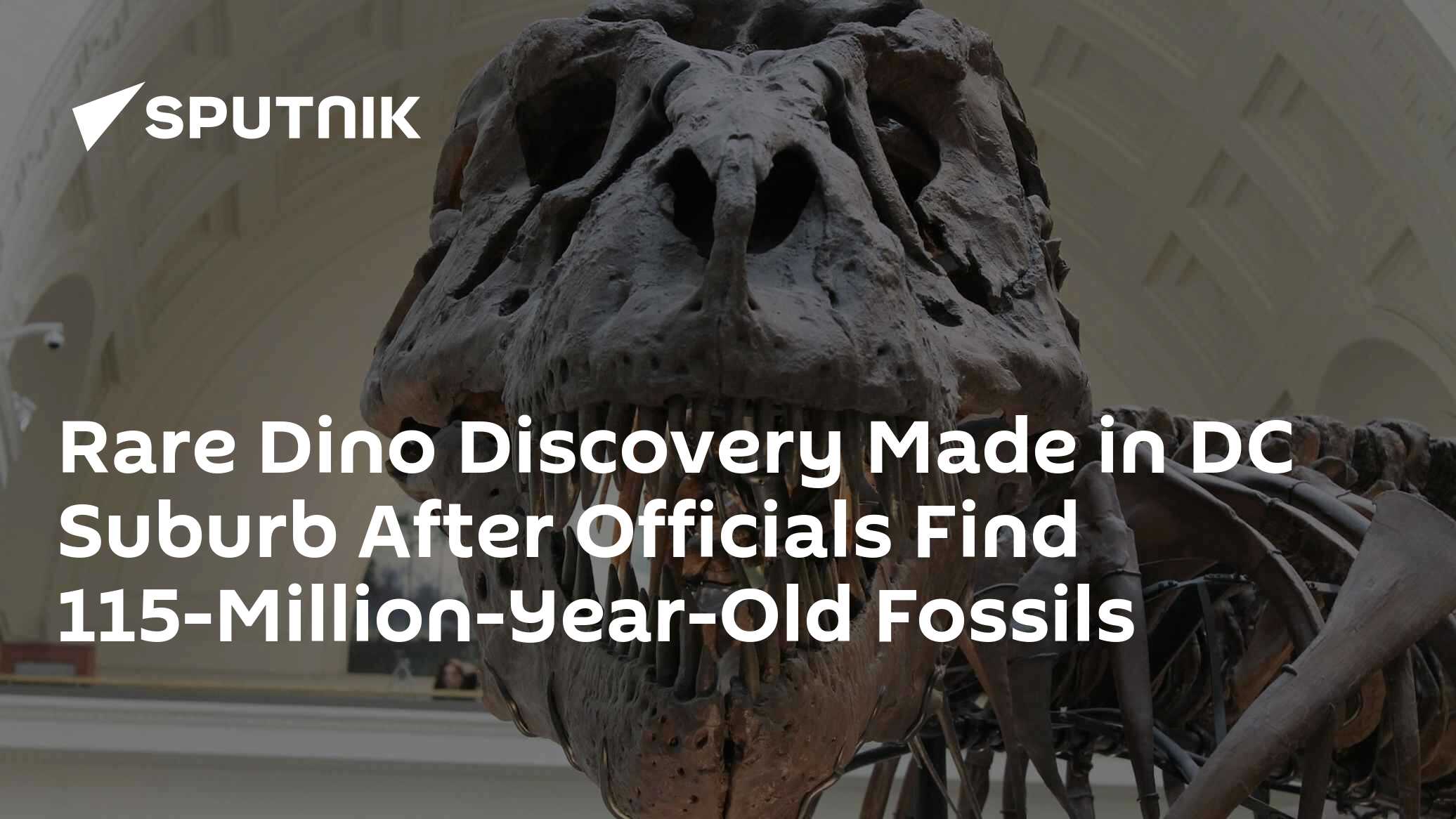 Dinosaur 'Bone Bed' Found in Washington, DC Suburb - Vimarsana News
