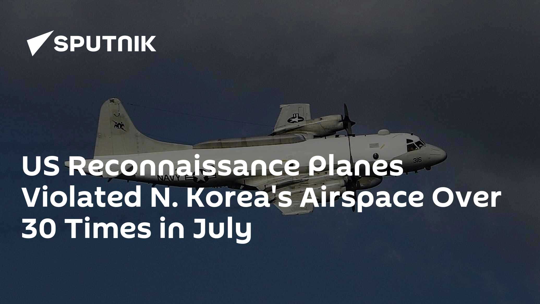 US Reconnaissance Planes Violated N. Korea's Airspace Over 30 Times in