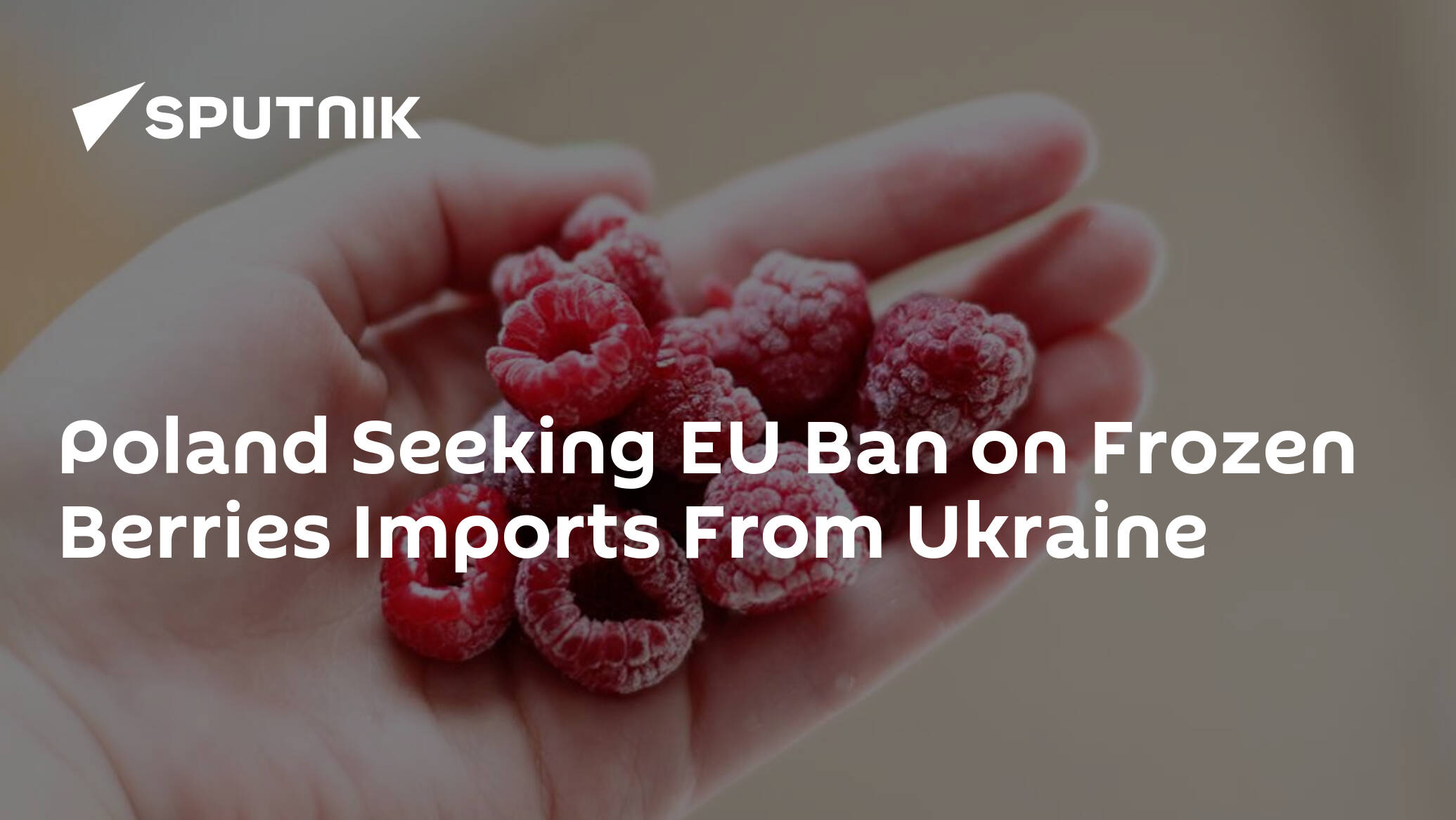 Poland Seeking EU Ban on Frozen Berries Imports From Ukraine