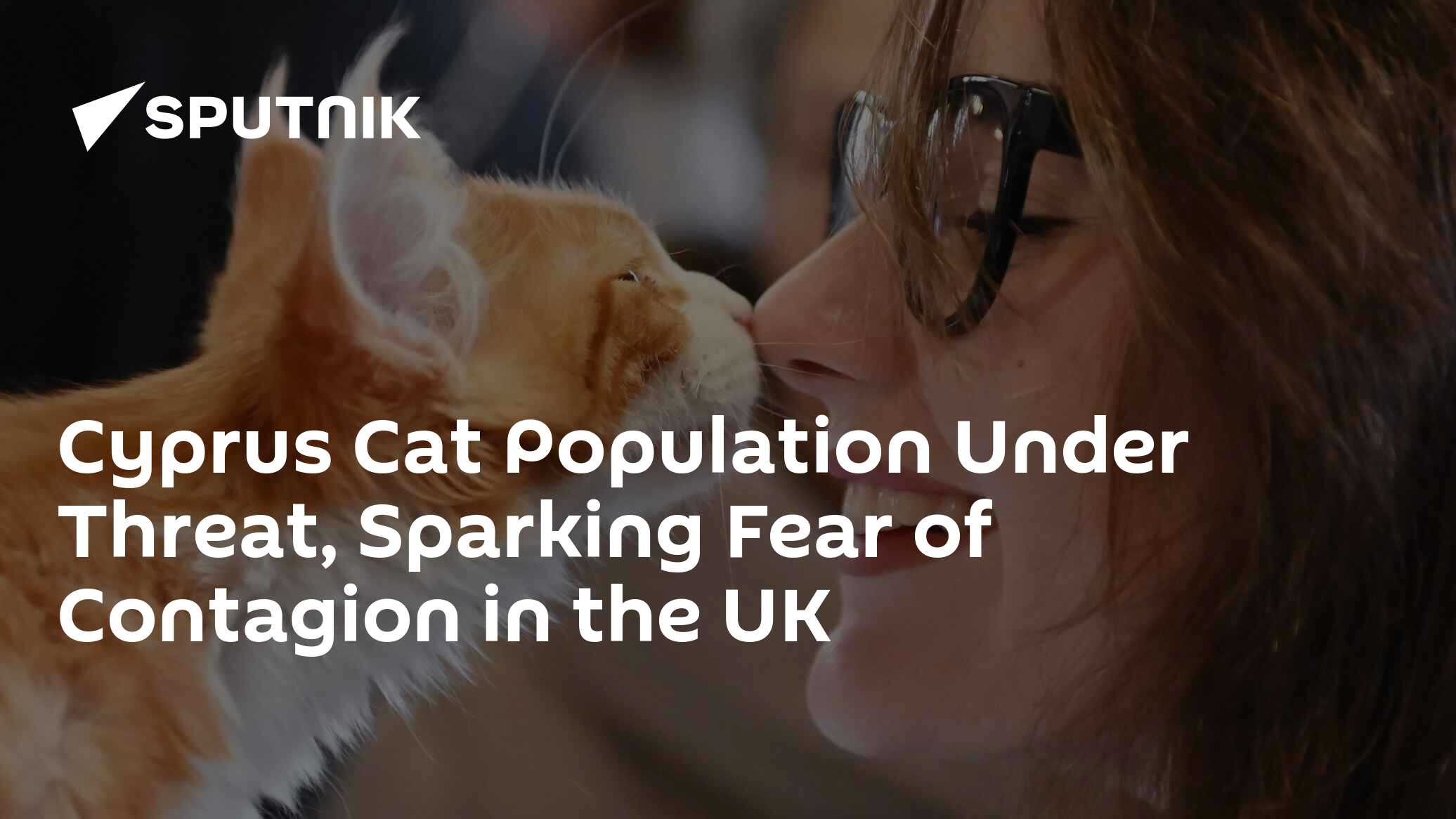 FIP Epidemic Cyprus Cat Population Under Threat, Sparks Fear of