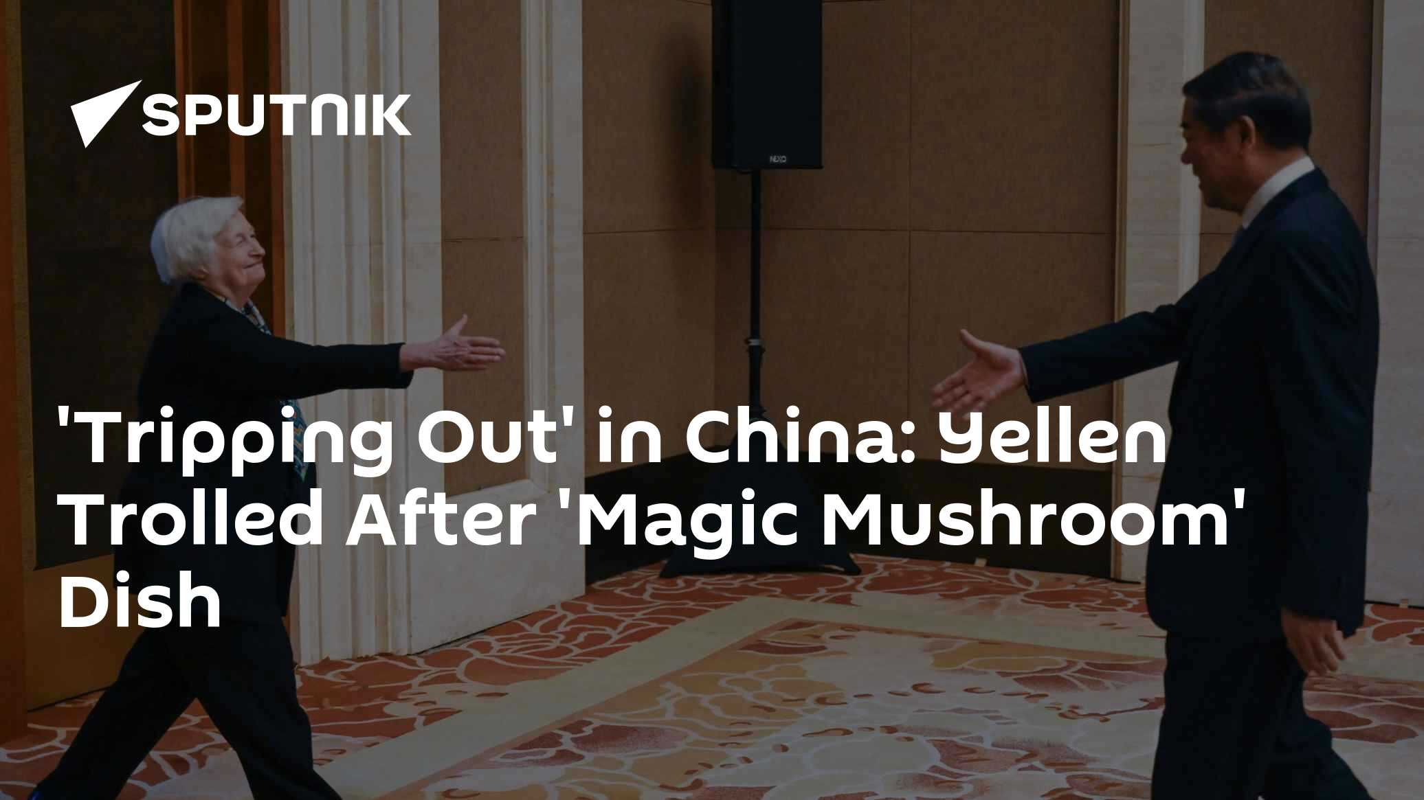 'Tripping Out' in China: Yellen Trolled After 'Magic Mushroom' Dish - Vimarsana News