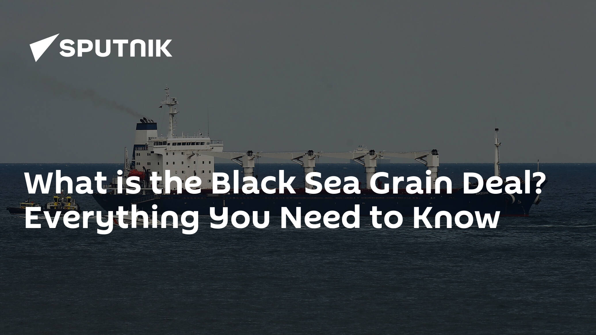 What is the Ukraine Grain Deal? Everything You Need to Know