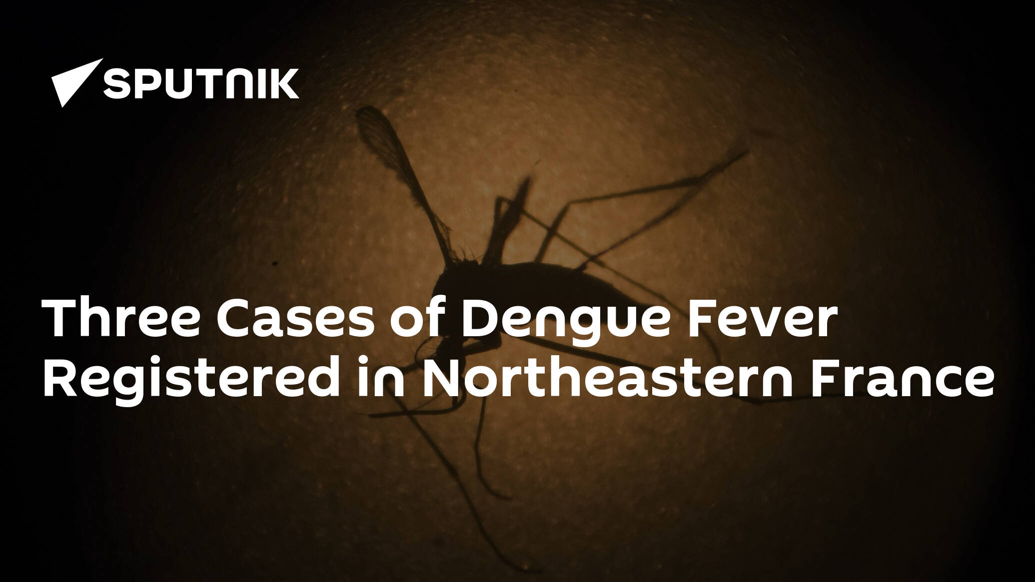 Three Cases of Dengue Fever Registered in Northeastern France