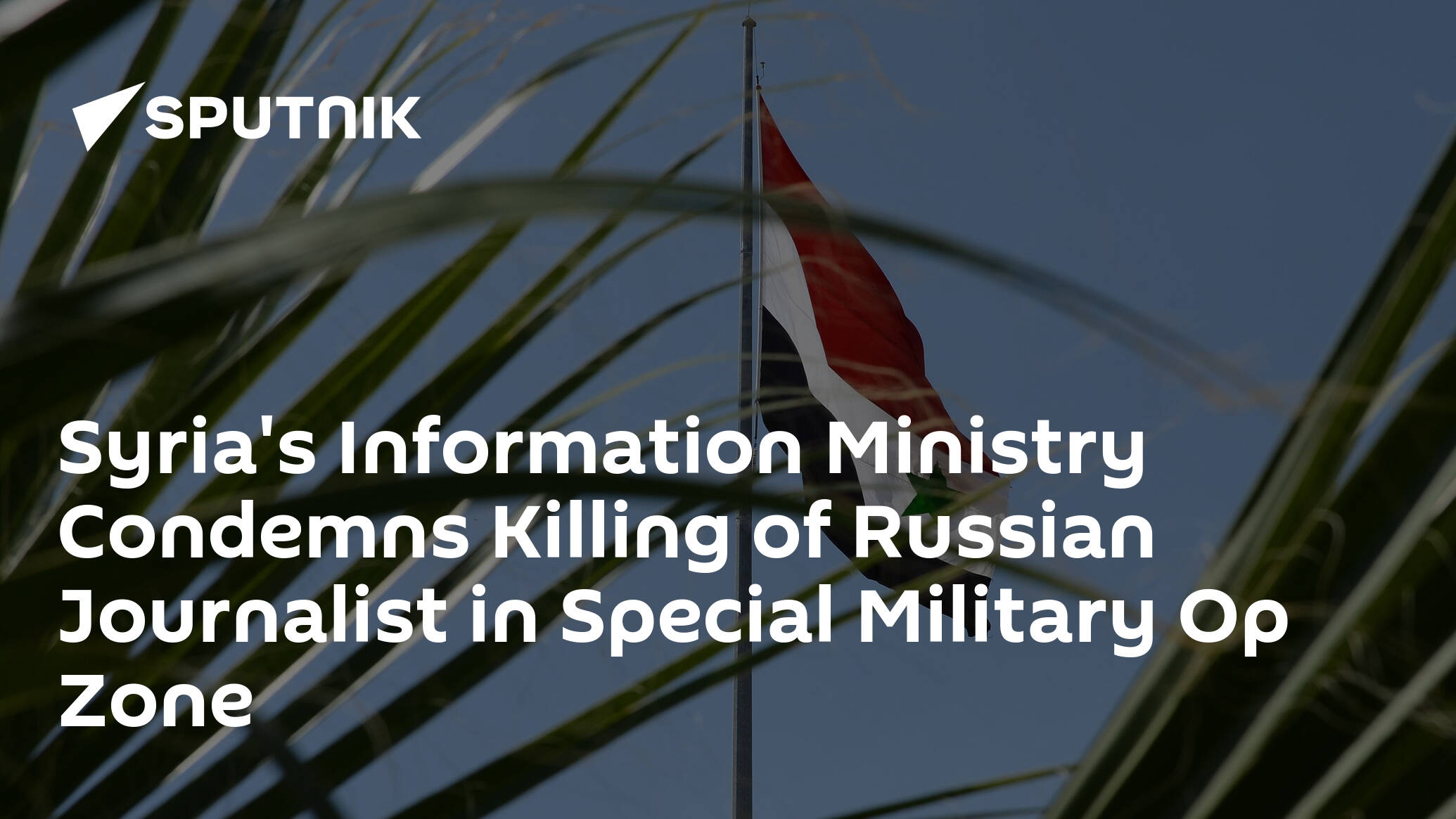 Syria's Information Ministry Condemns Killing of Russian Journalist in Ukraine