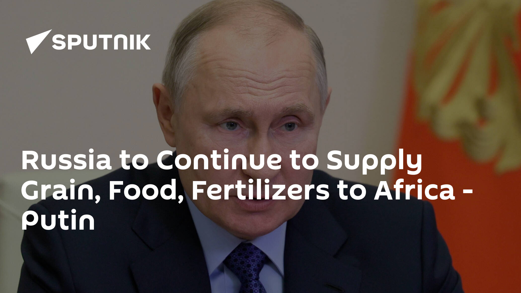 Russia to Continue to Supply Grain, Food, Fertilizers to Africa – Putin