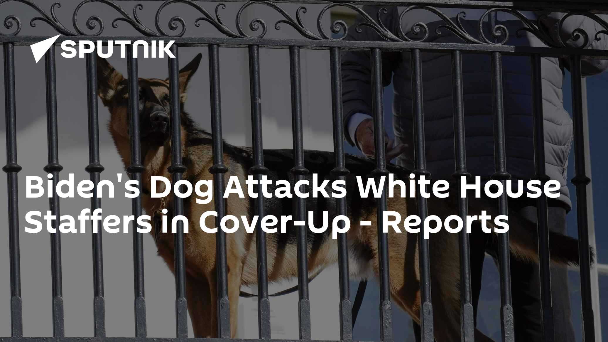 Biden's Dog Attacks Raise Questions - Is There a Cover-Up at the White House? - Vimarsana News