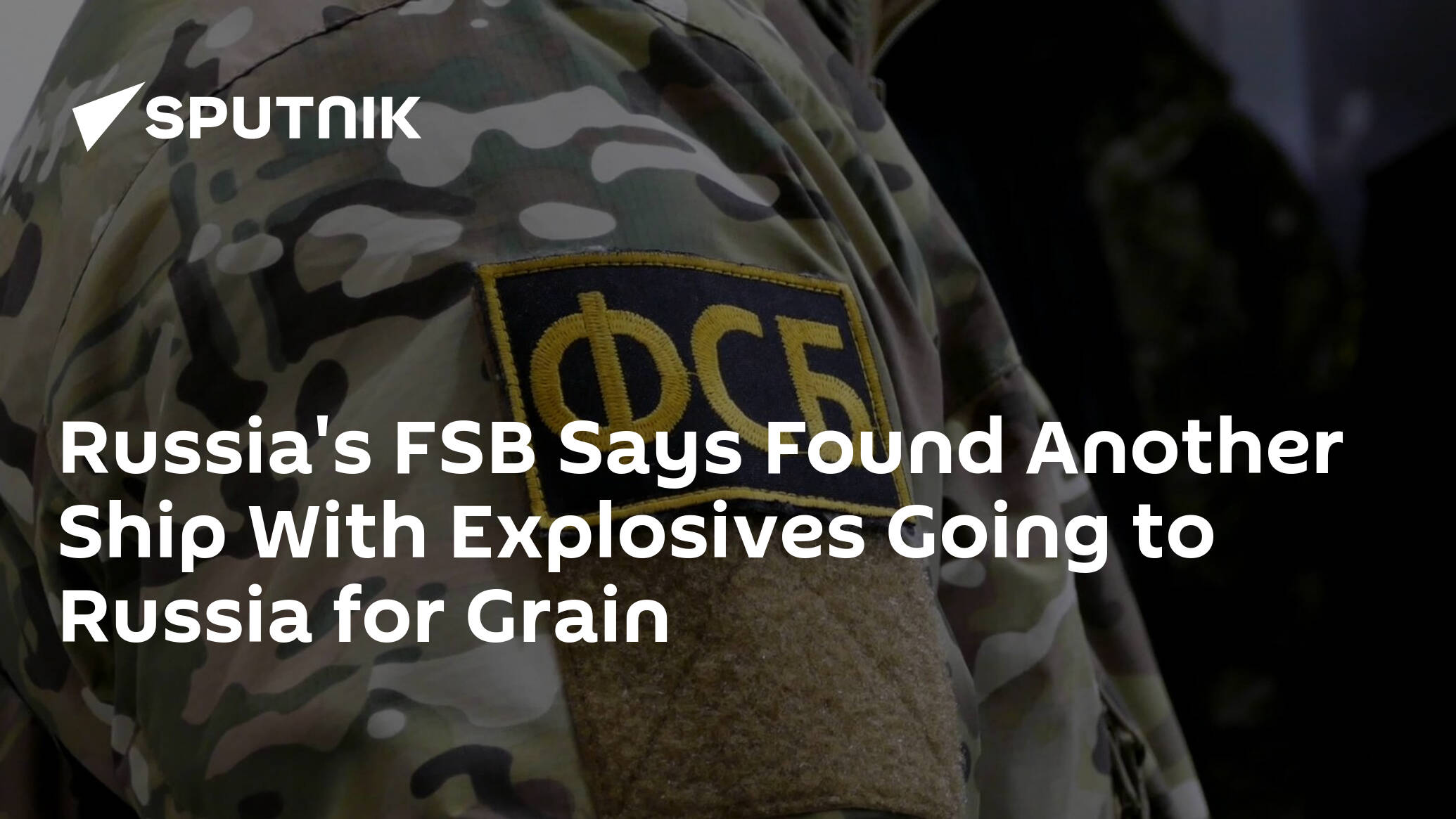 Russia's FSB Says Found Another Ship With Explosives Going to Russia for Grain