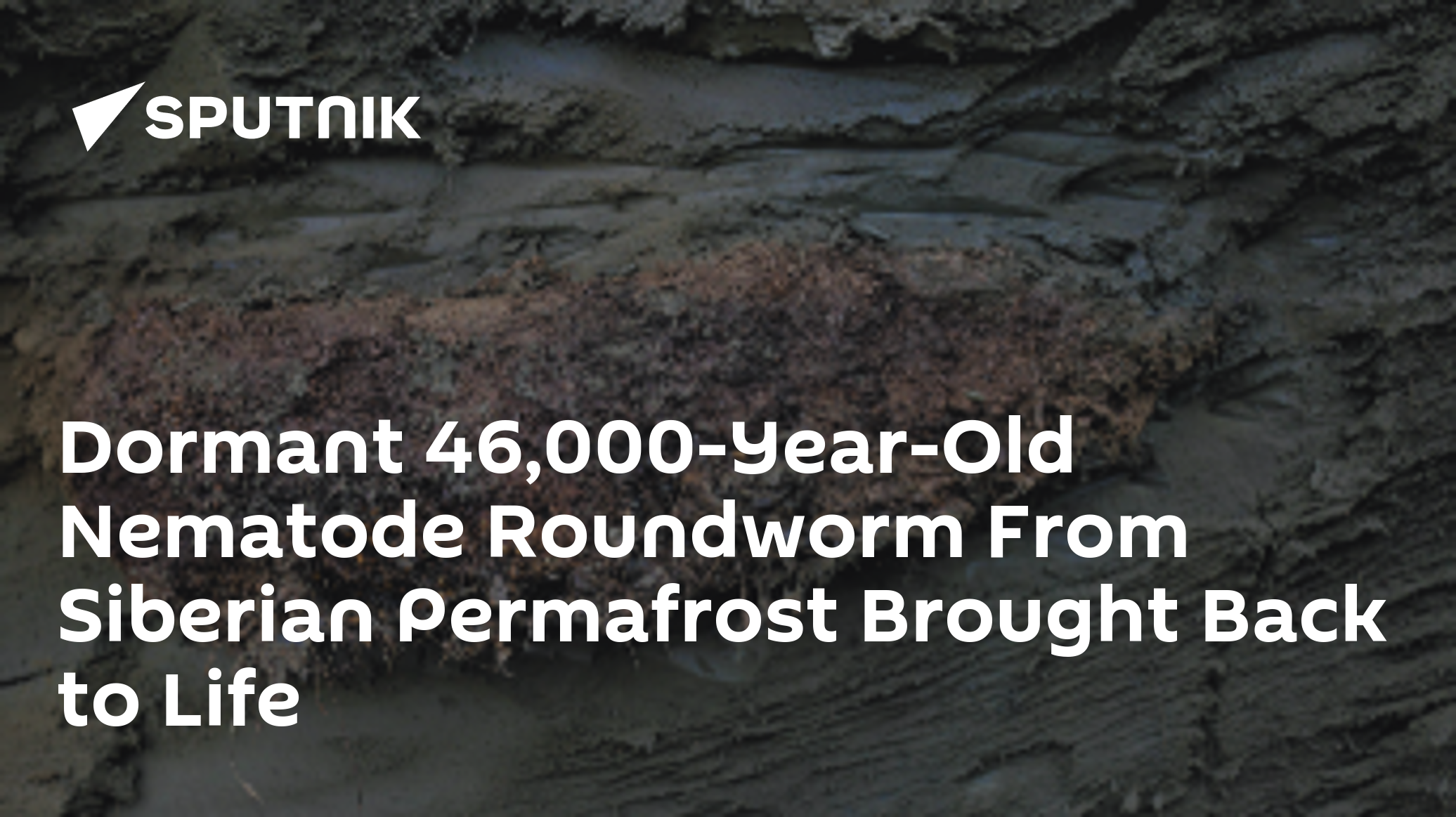 Have 46,000-year-old Nematodes in Suspended Animation Really Been  Resuscitated?