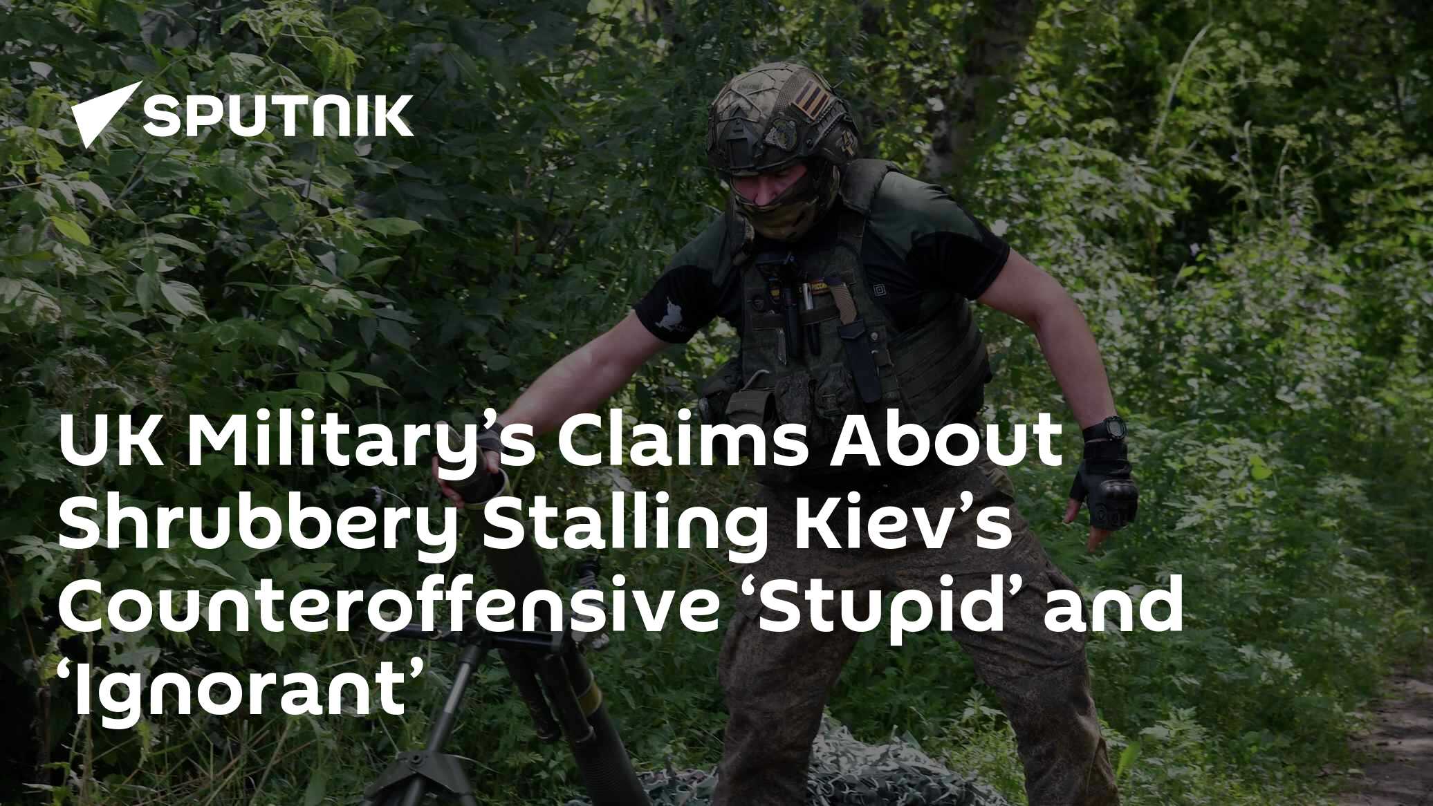 UK Military Makes 'Stupid' Claims About Shrubbery Stalling Kiev's Advance - Vimarsana News