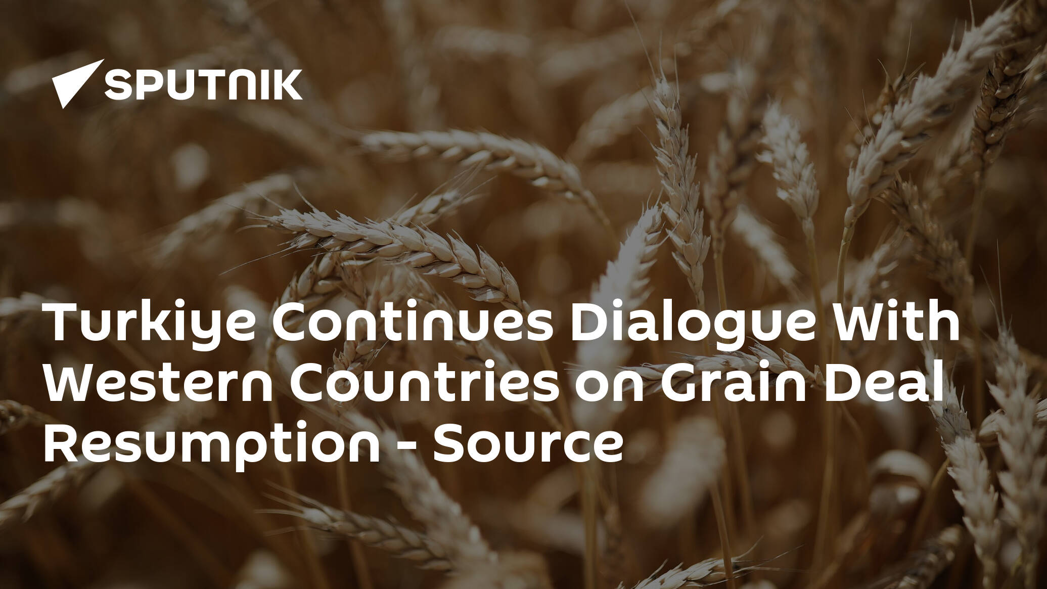 Turkiye Continues Dialogue With Western Countries on Grain Deal Resumption – Source
