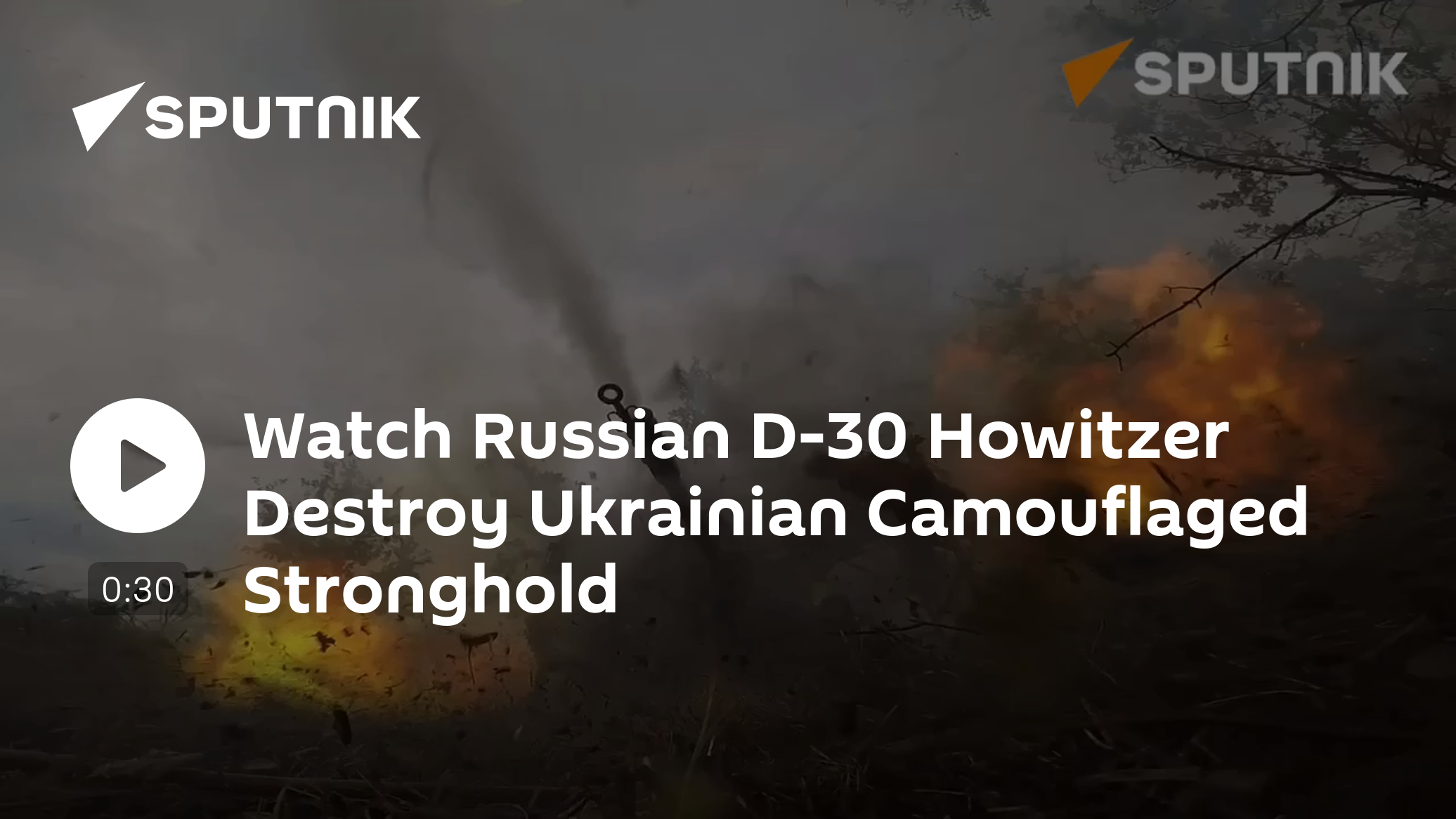 Watch Russian D-30 Howitzer Destroy Ukrainian Camouflaged Stronghold - Vimarsana News