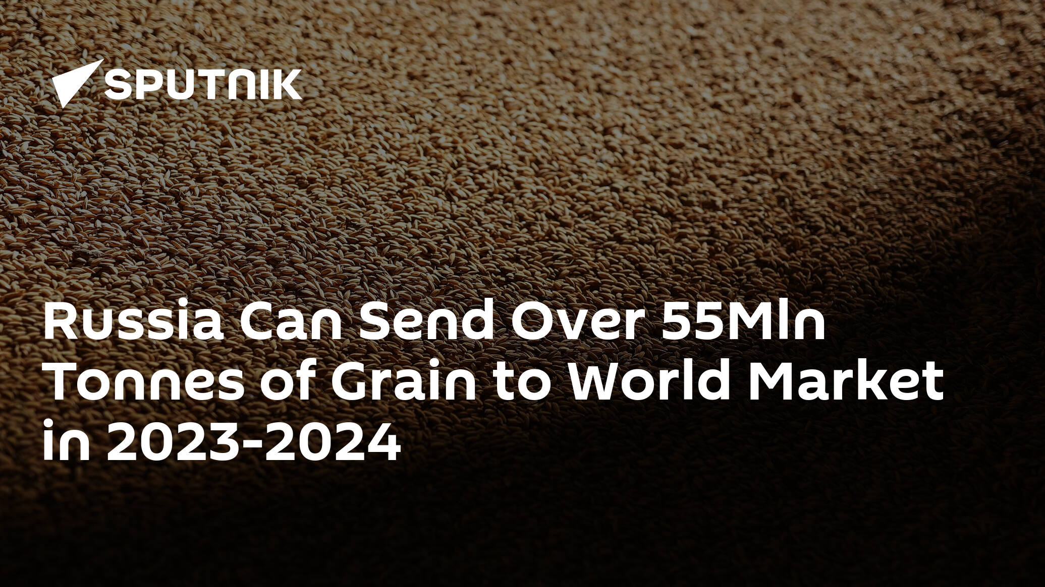 Russia Can Send Over 55Mln Tonnes of Grain to World Market in 2023-2024