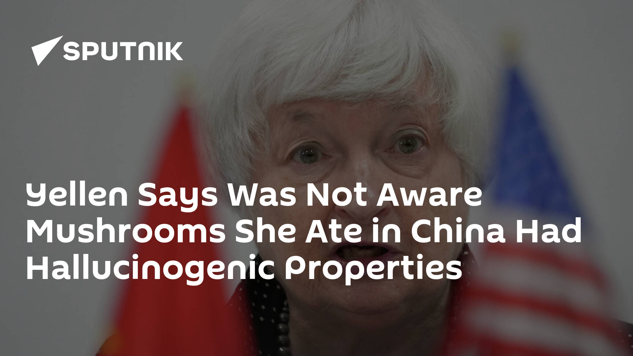 Yellen Says Was Not Aware Mushrooms She Ate in China Had Hallucinogenic Properties