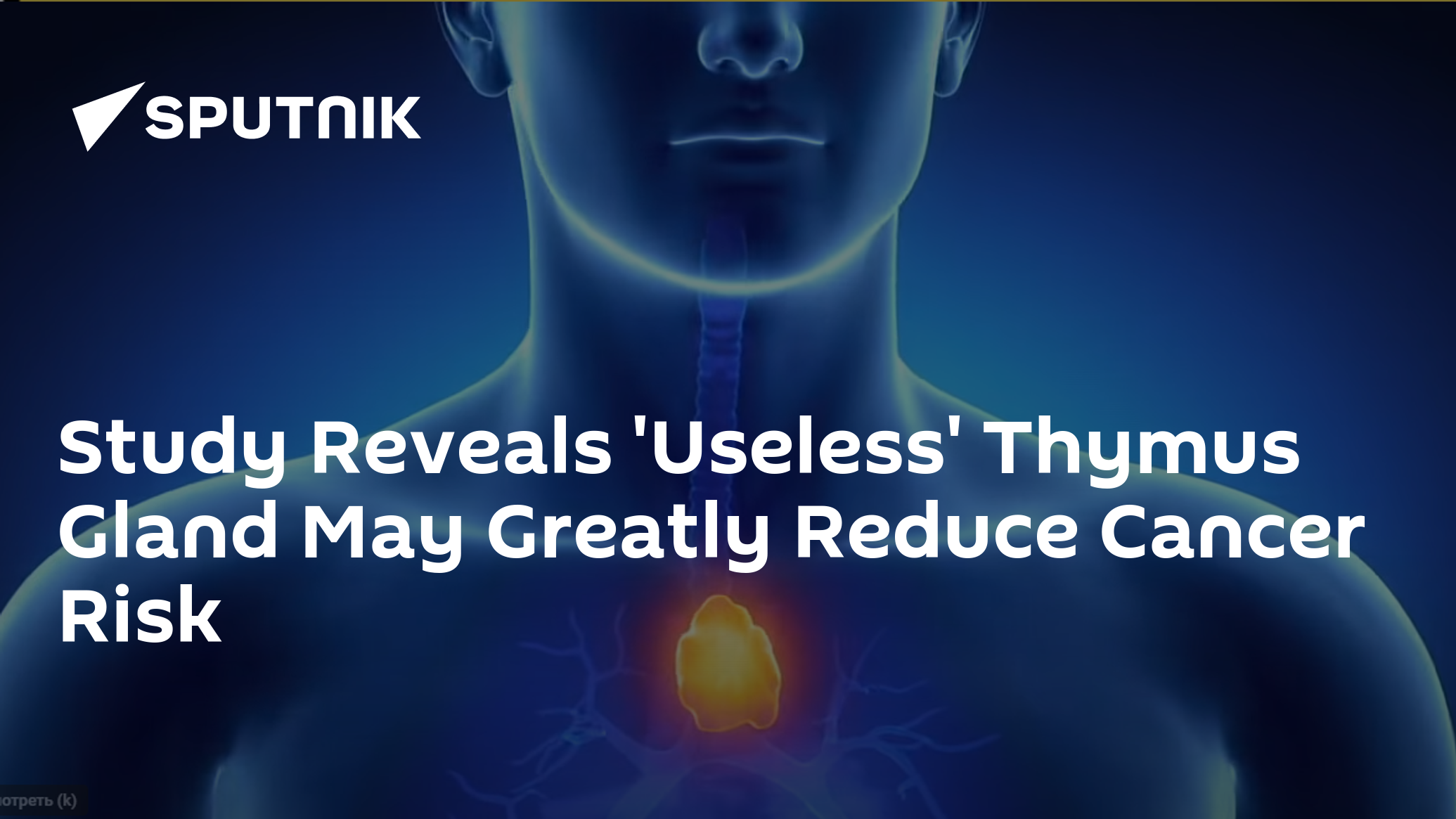 Study Reveals 'Useless' Thymus Gland's Vital Role in Preserving Health