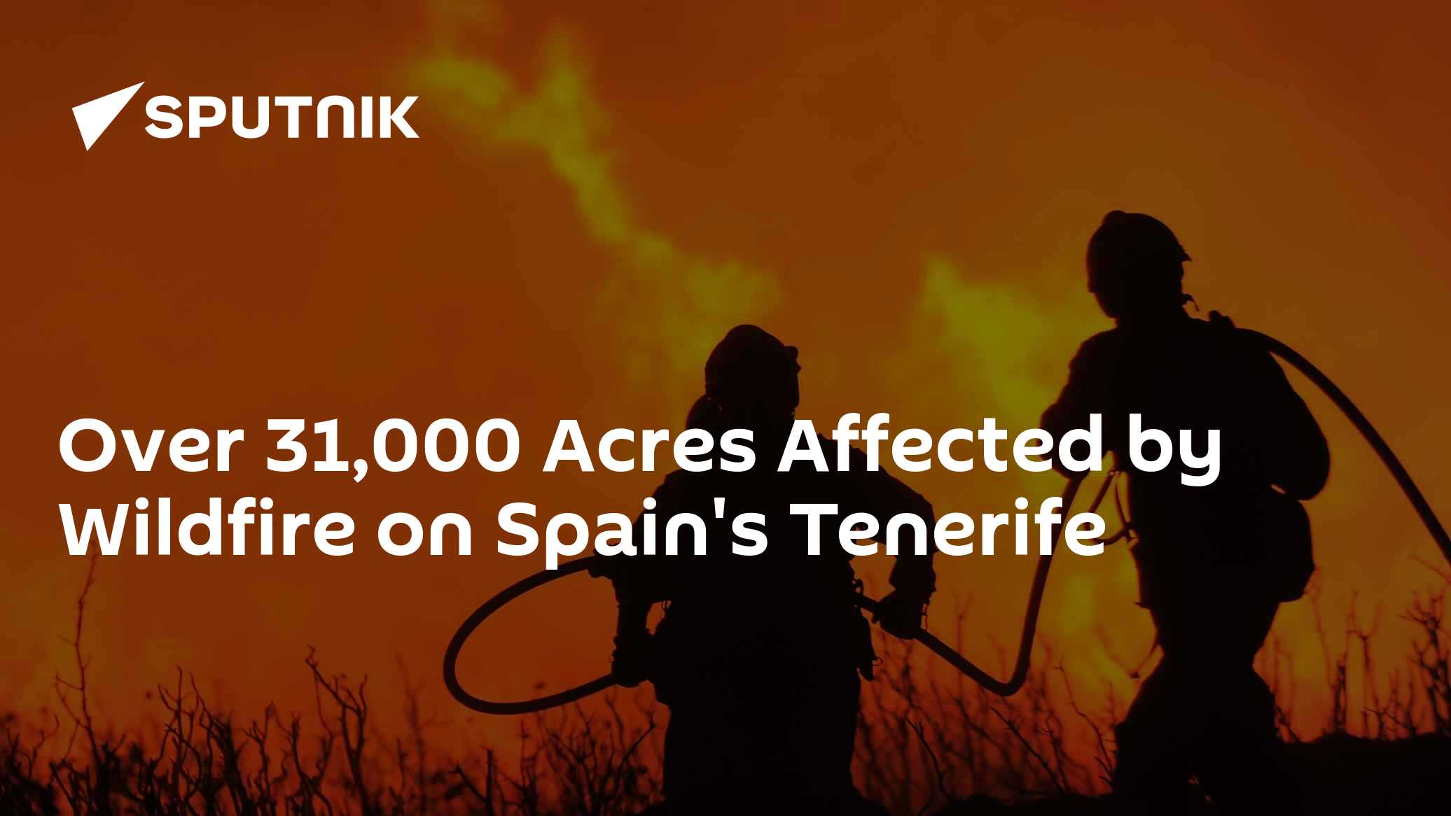 Over 31,000 Acres Affected by Wildfire on Spain's Tenerife - Vimarsana News