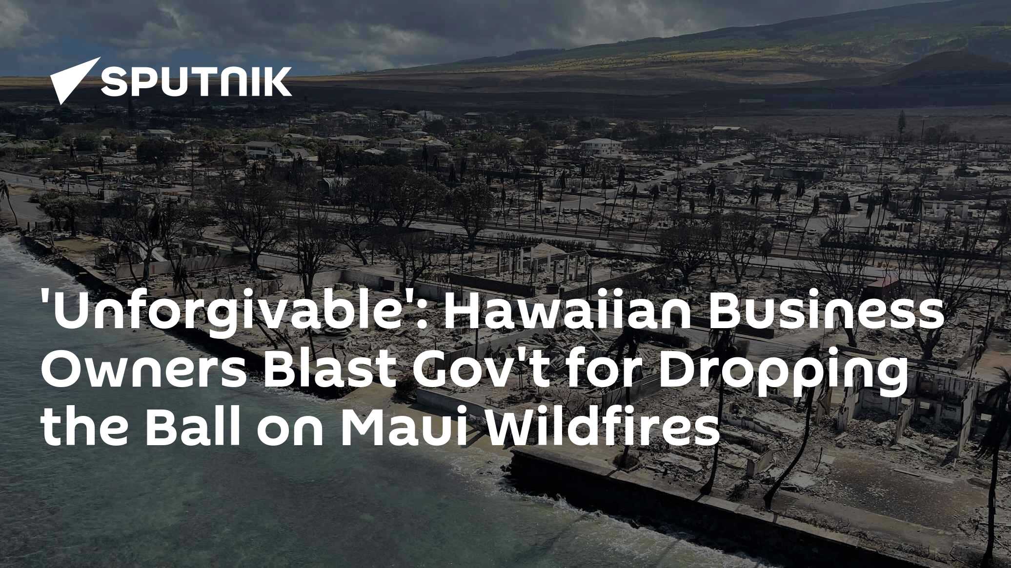 Hawaiian Owners Blast Government for Dropping the Ball on Maui Wildfires - Vimarsana News