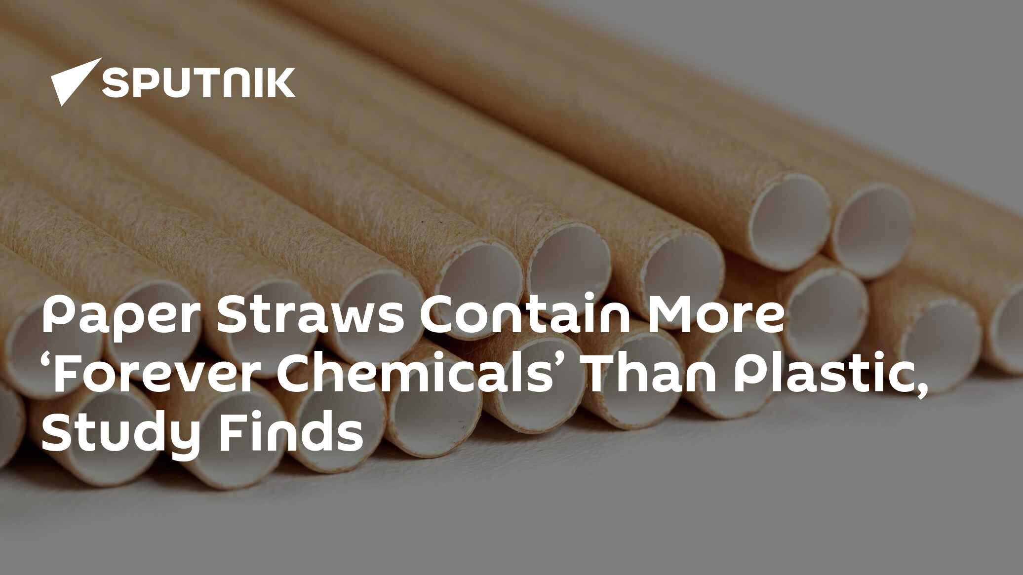 Forever Chemicals Found in Paper Straws More Often Than Plastic