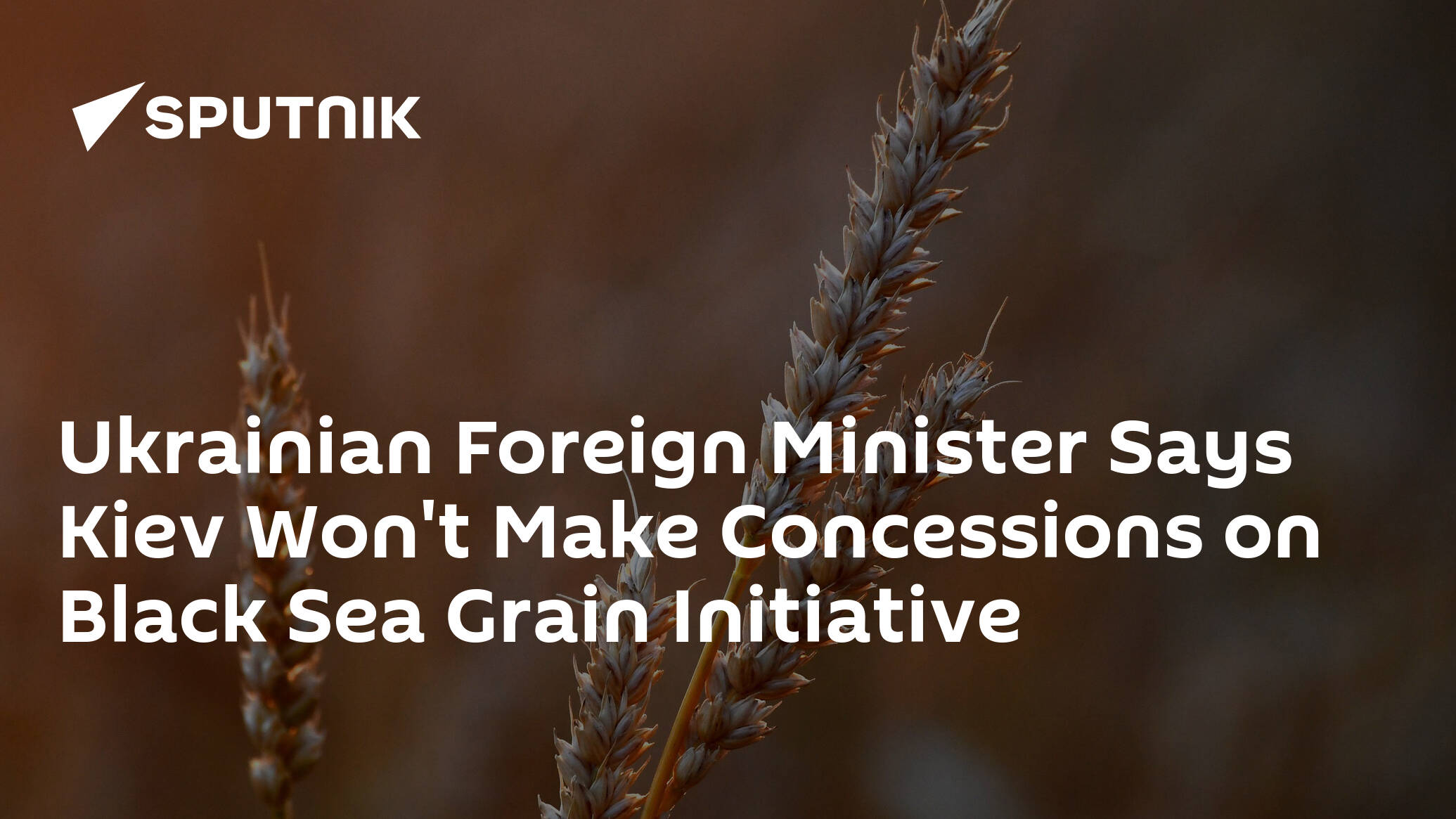 Ukrainian Foreign Minister Says Kiev Won't Make Concessions on Black Sea Grain Initiative