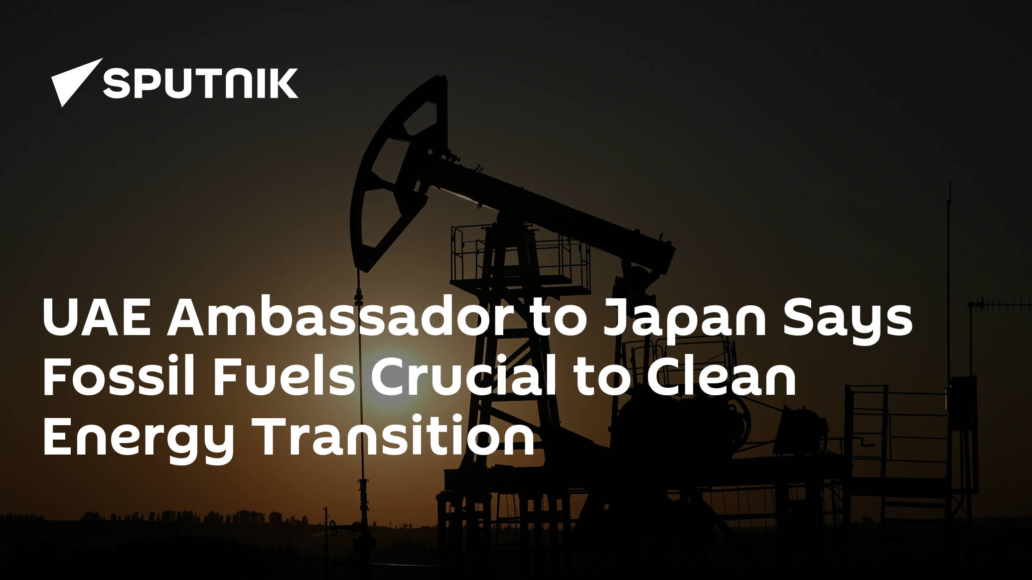UAE Ambassador to Japan Says Fossil Fuels Crucial to Clean Energy Transition