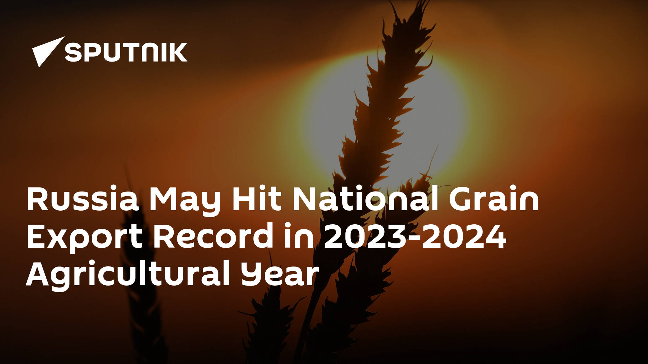 Russia May Hit National Grain Export Record in 2023-2024 Agricultural Year