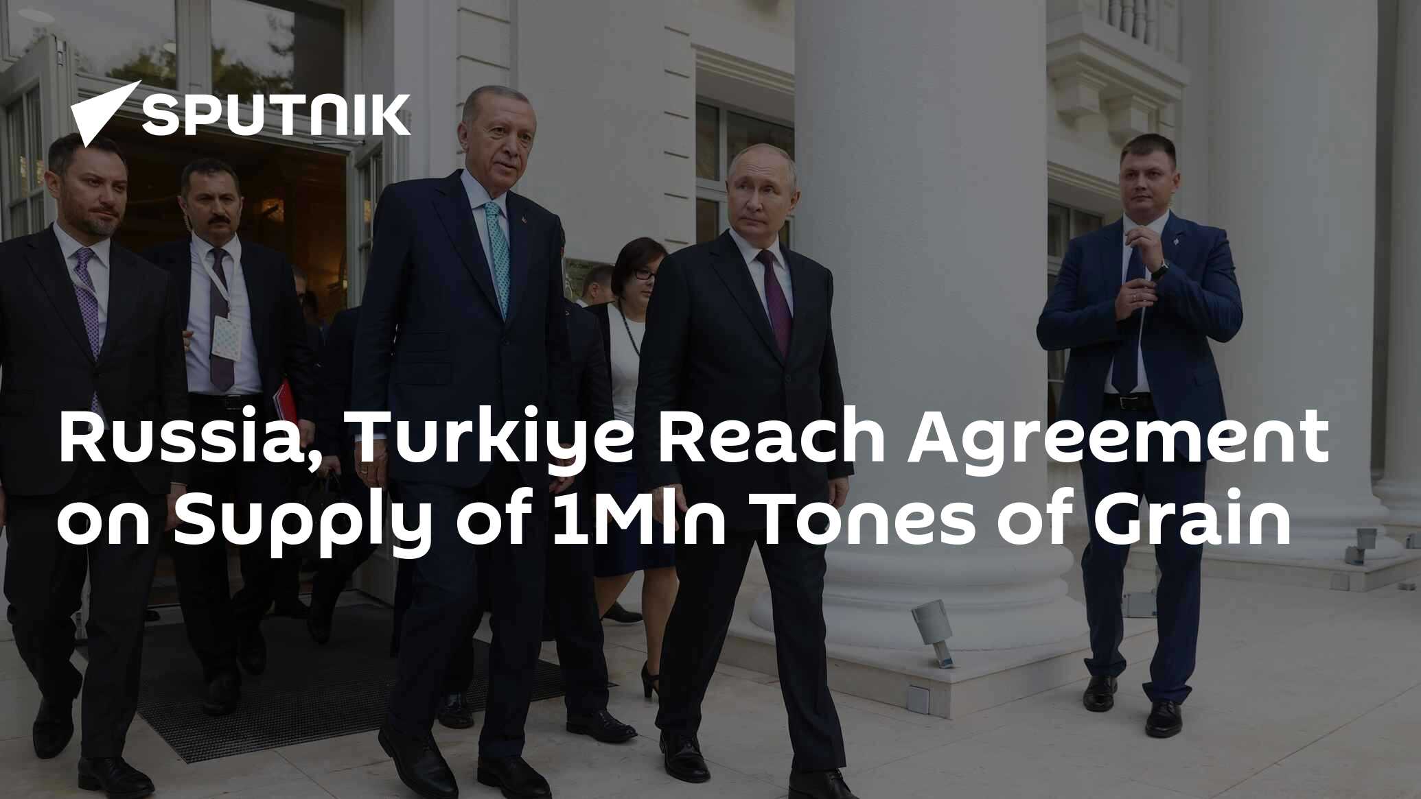 Russia, Turkiye Reach Agreement on Supply of 1Mln Tones of Grain