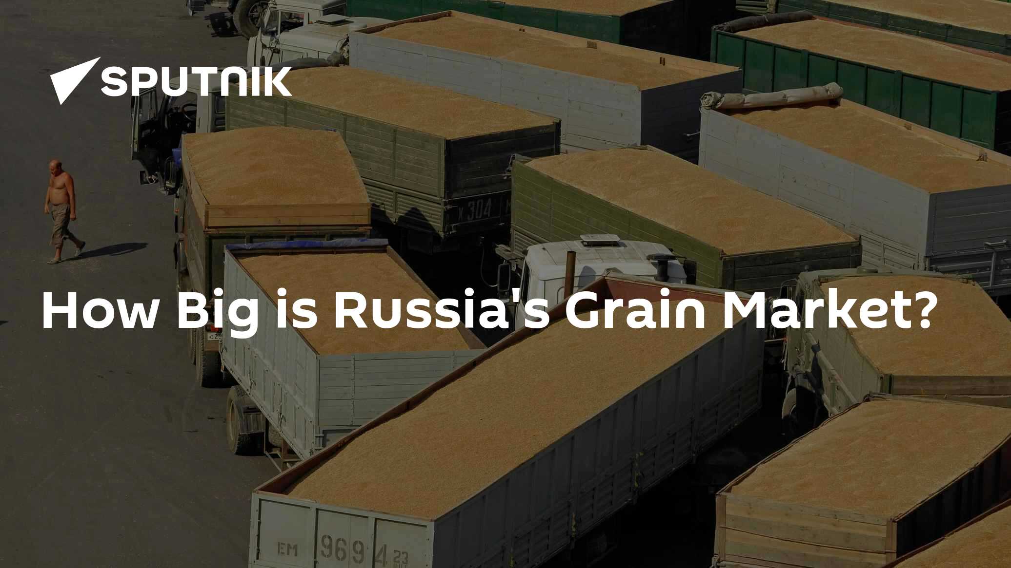 How Big is Russia's Grain Market? - Vimarsana News