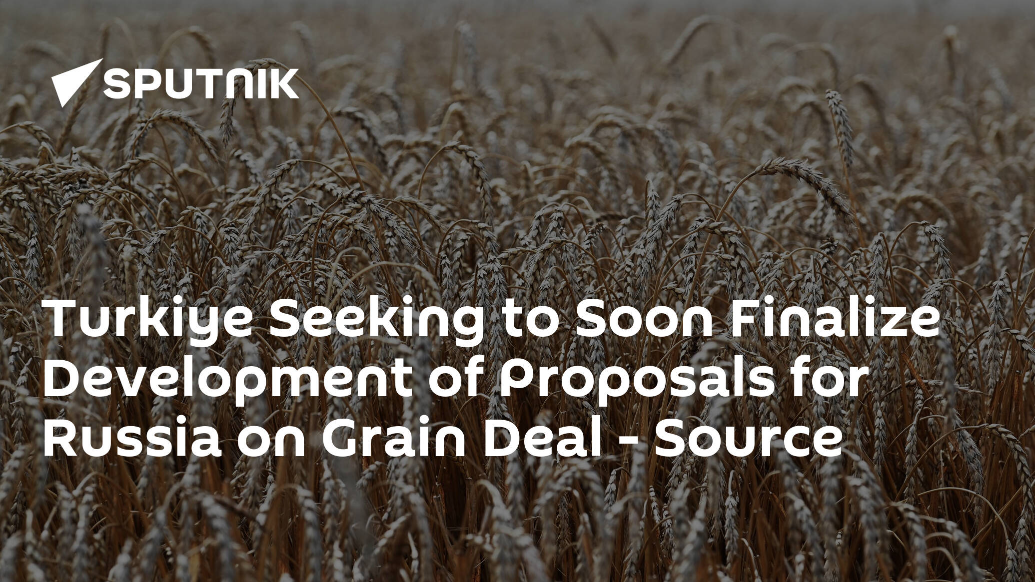 Turkiye Seeking to Soon Finalize Development of Proposals for Russia on Grain Deal – Source
