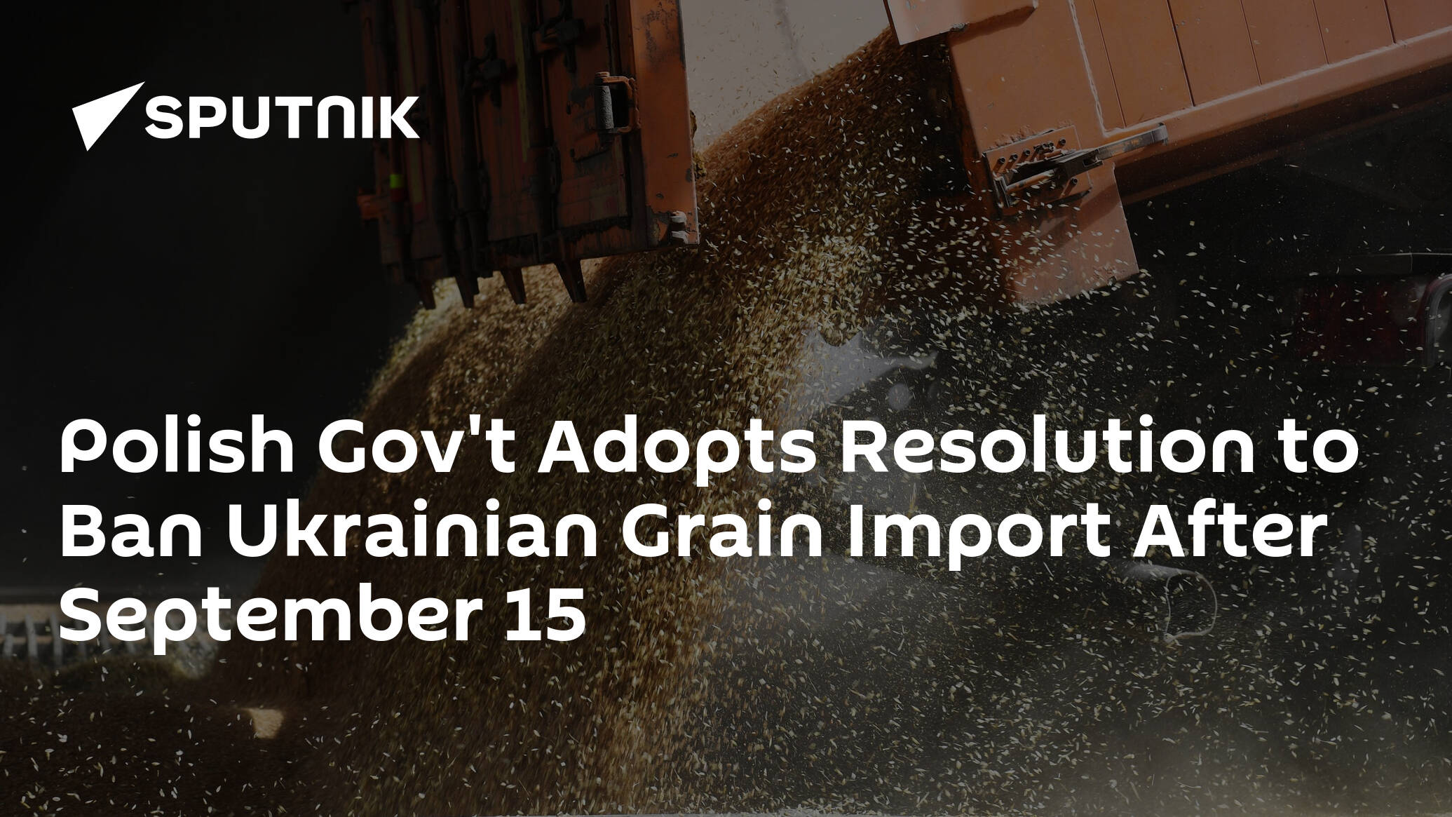 Polish Gov't Adopts Resolution to Ban Ukrainian Grain Import After September 15