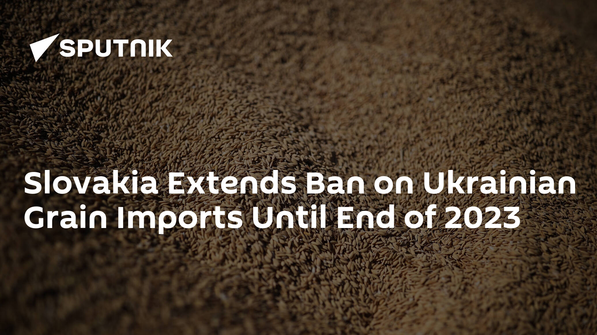 Slovakia Extends Ban on Ukrainian Grain Imports Until End of 2023