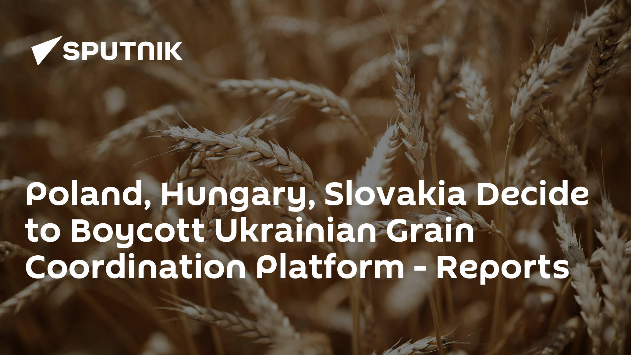 Poland, Hungary, Slovakia Decide to Boycott Ukrainian Grain Coordination Platform – Reports