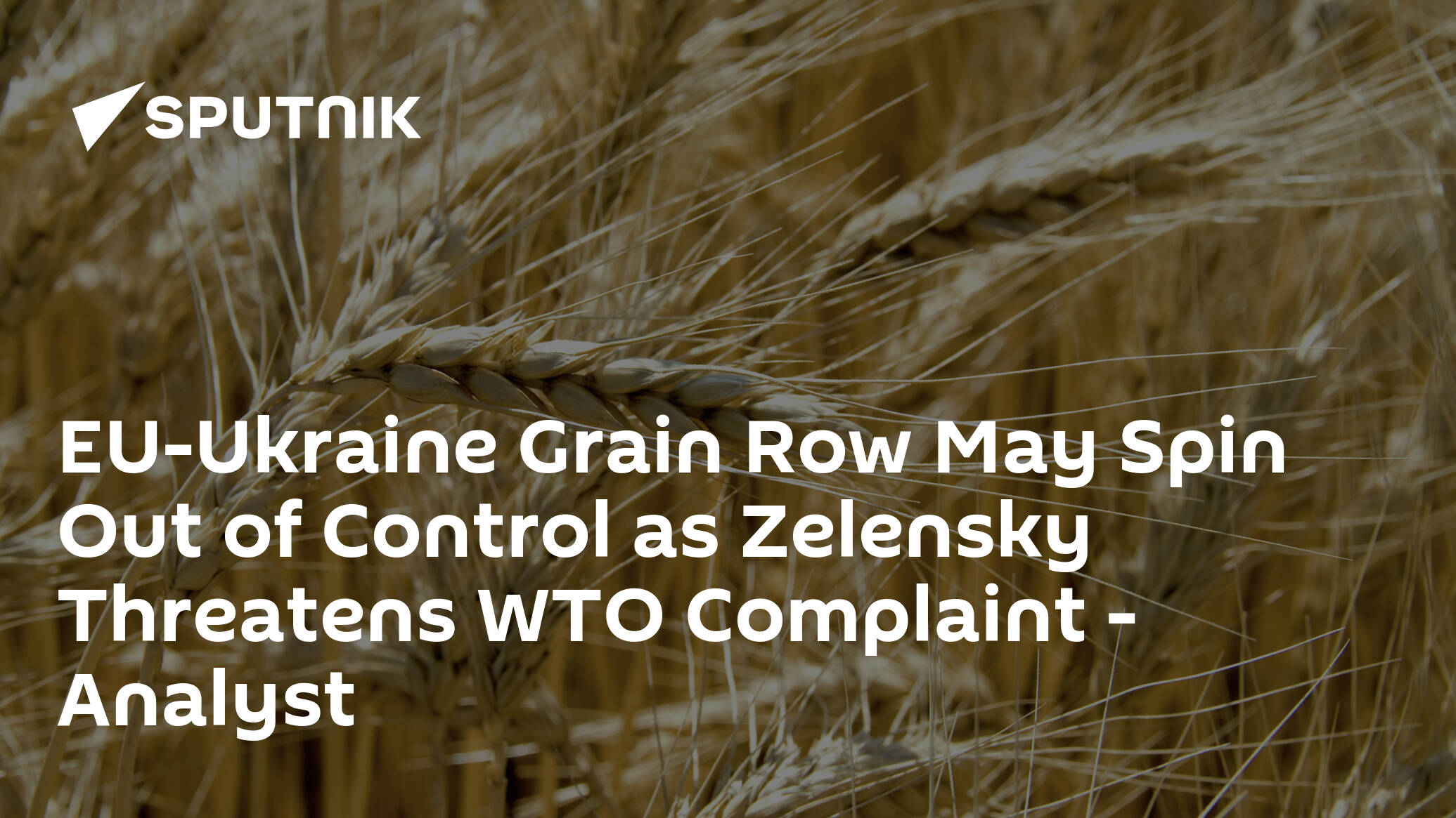 EU-Ukraine Grain Row May Spin Out of Control as Zelensky Threatens WTO Complaint – Analyst