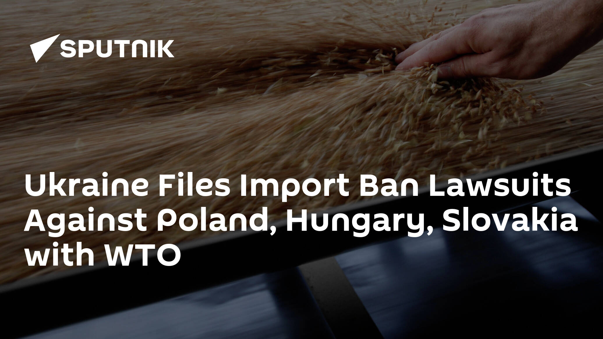Ukraine Files Import Ban Lawsuits Against Poland, Hungary, Slovakia with WTO