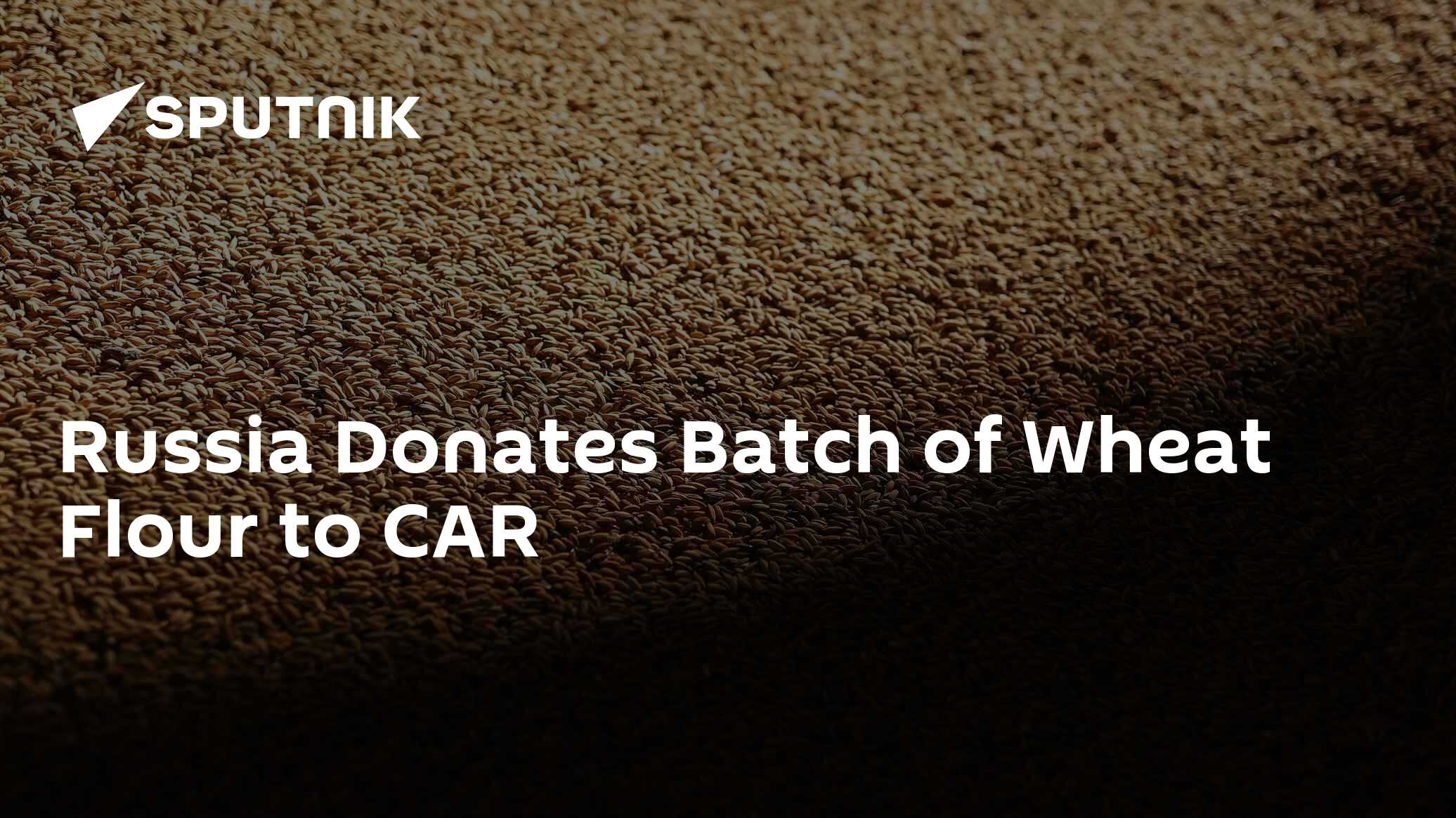 Russia Donates Batch of Wheat Flour to CAR - Vimarsana News