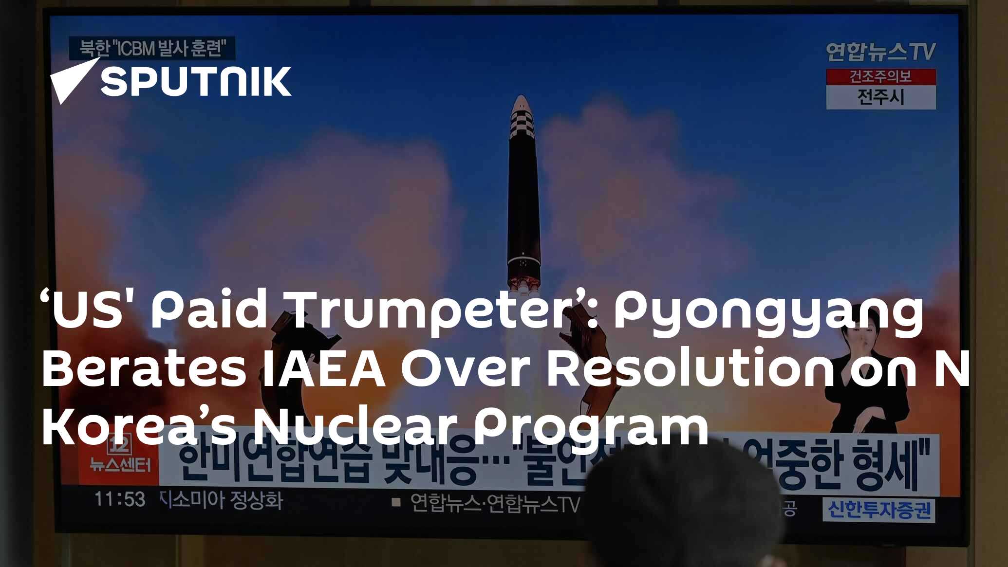 Pyongyang Raps Iaea Over Resolution On N Koreas Nuclear Program 