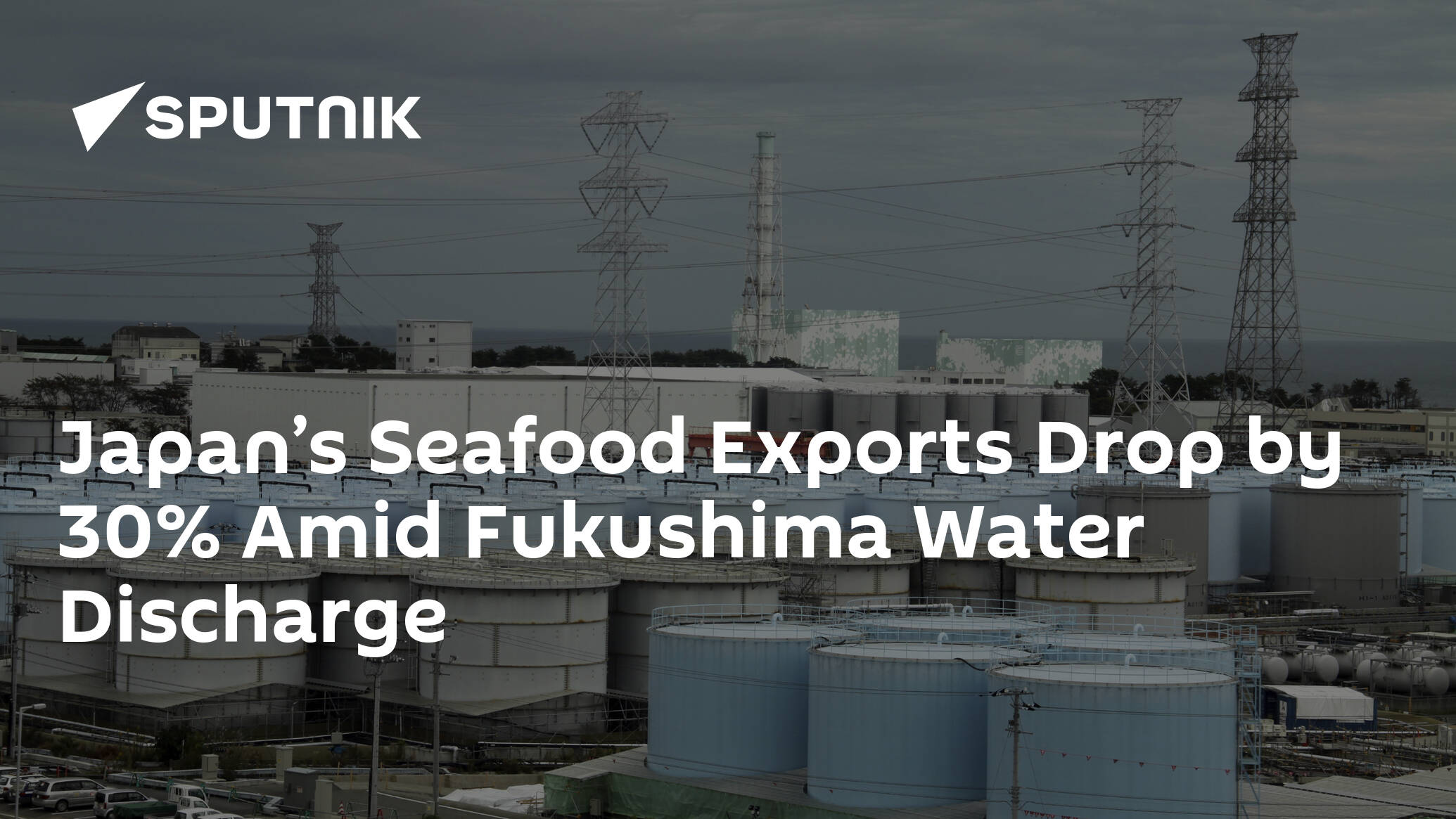 Japan’s Seafood Exports Drop by 30% Amid Fukushima Water Discharge