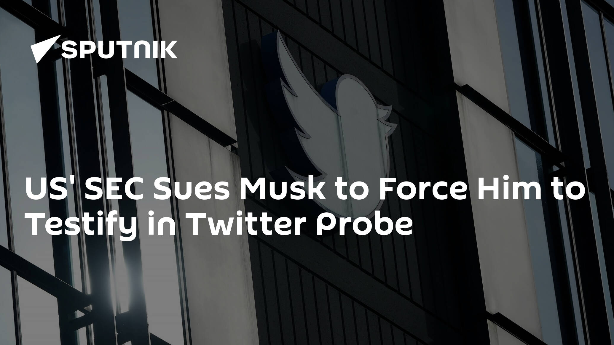 US' SEC Sues Musk to Force Him to Testify in Twitter Probe