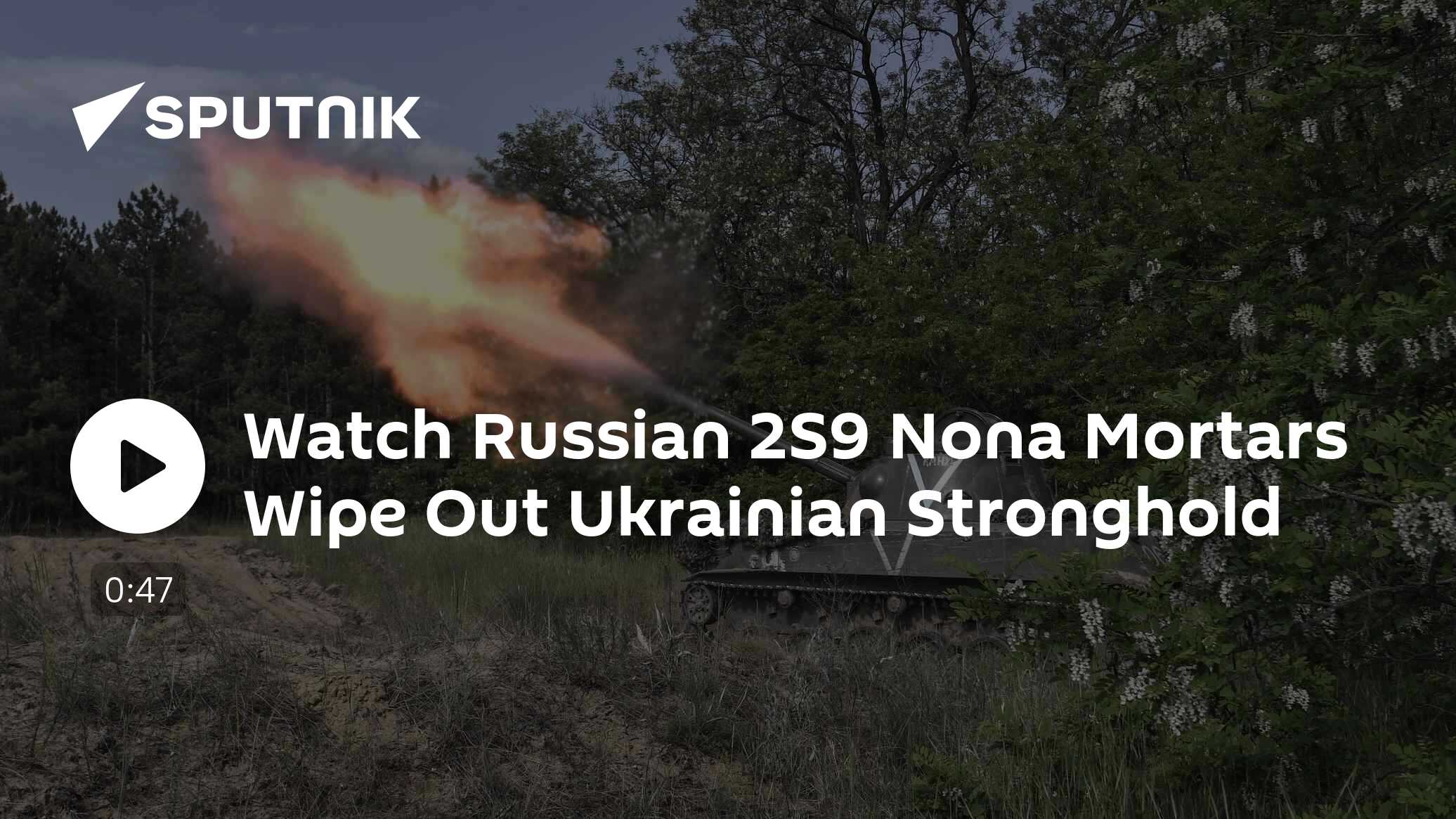 Watch Russian 2S9 Nona Mortars Wipe out Ukrainian Stronghold - Vimarsana News