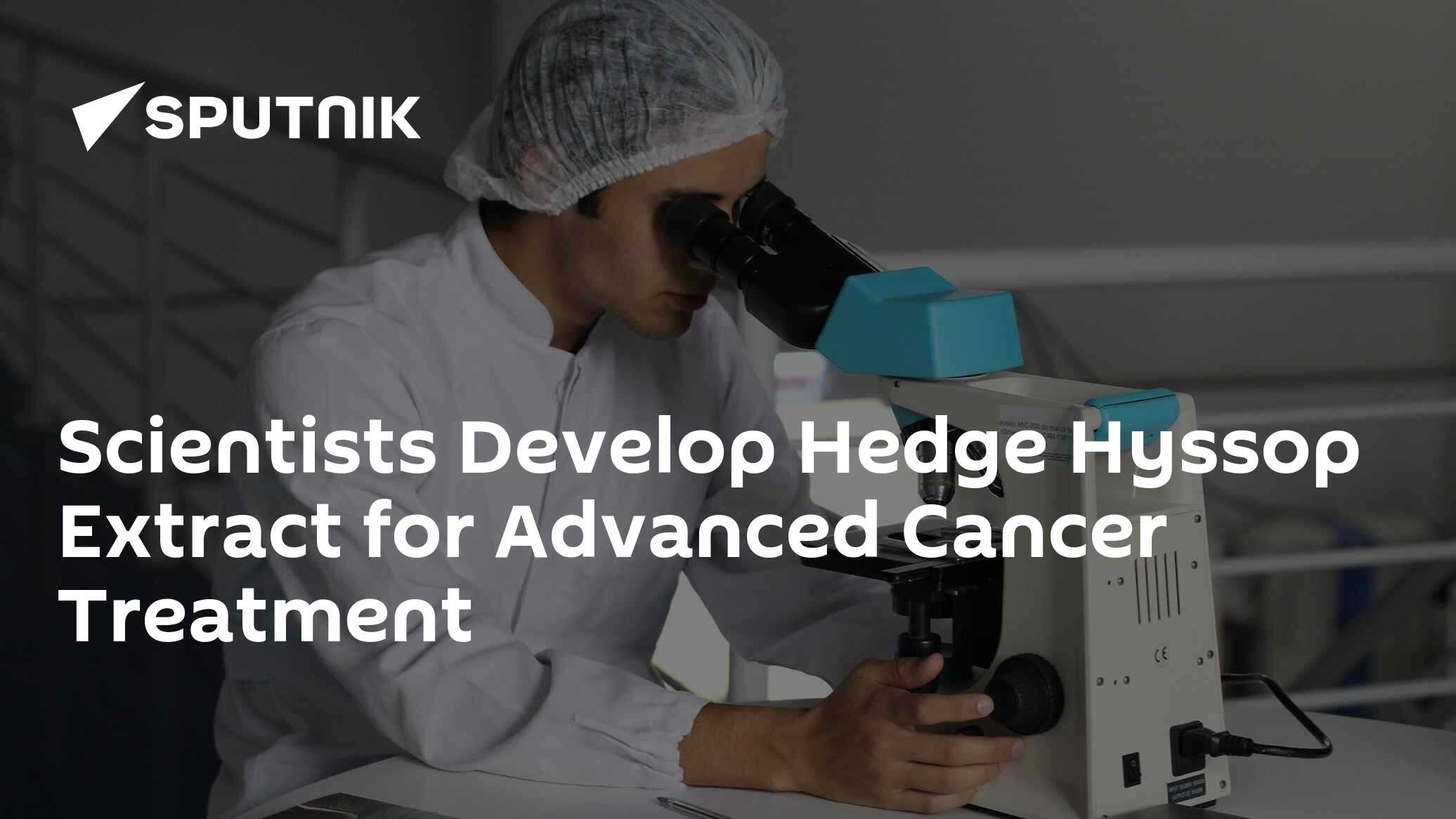 Scientists Develop Hedge Hyssop Extract for Advanced Cancer Treatment - Vimarsana News