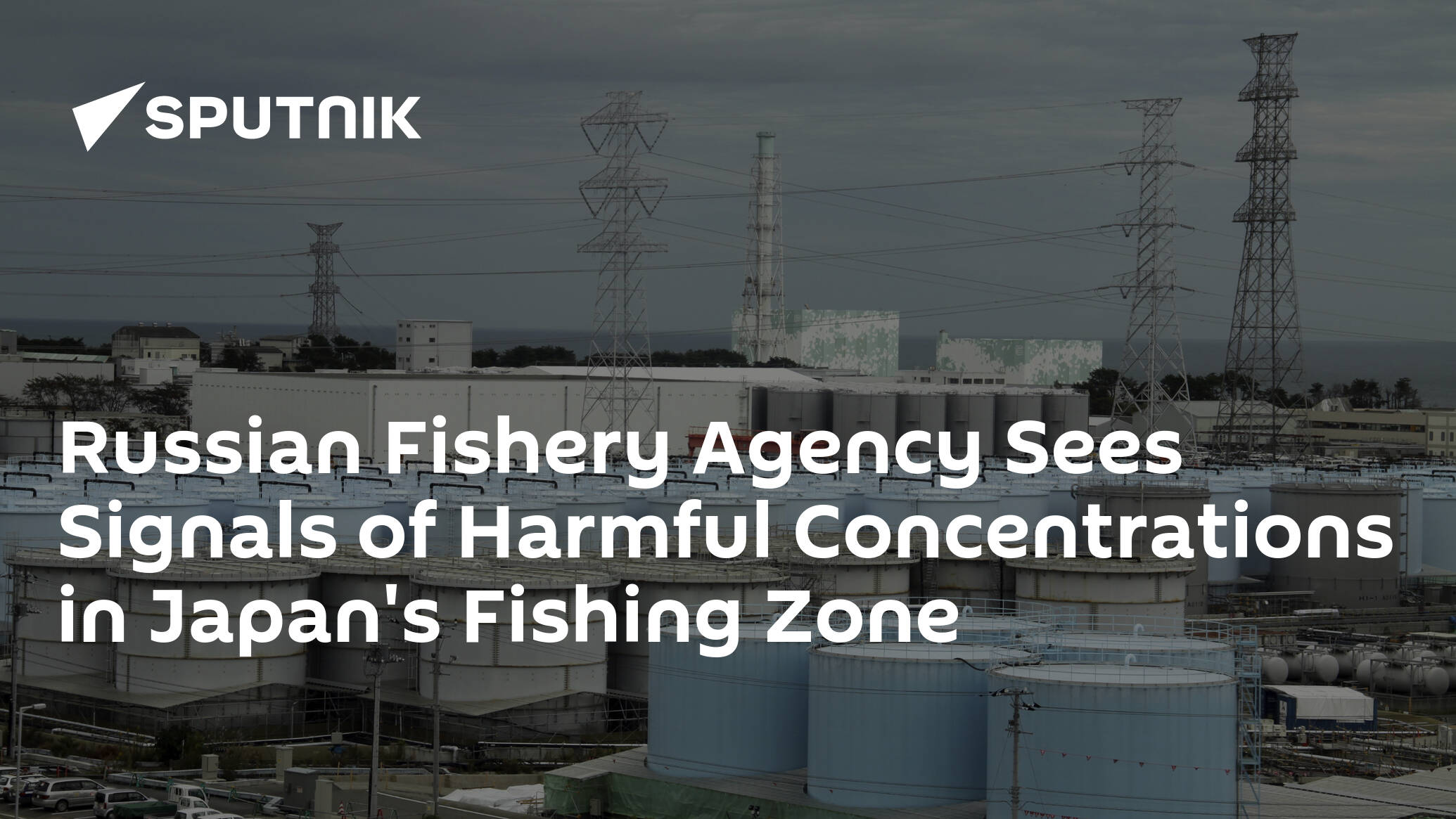 Russian Fishery Agency Sees Signals of Harmful Concentrations in Japan's Fishing Zone