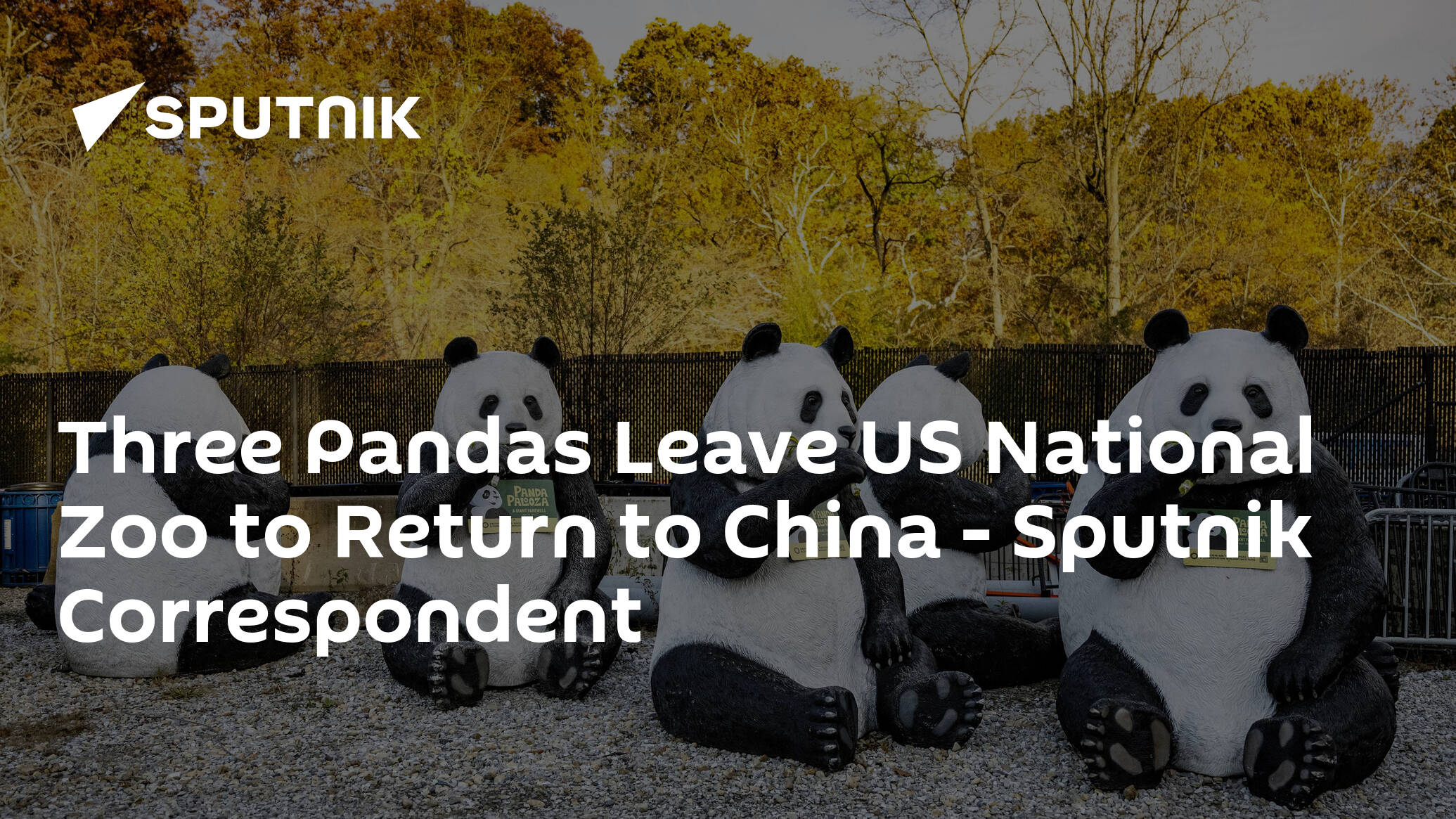 Three Pandas Leave US National Zoo to Return to China – Sputnik Correspondent