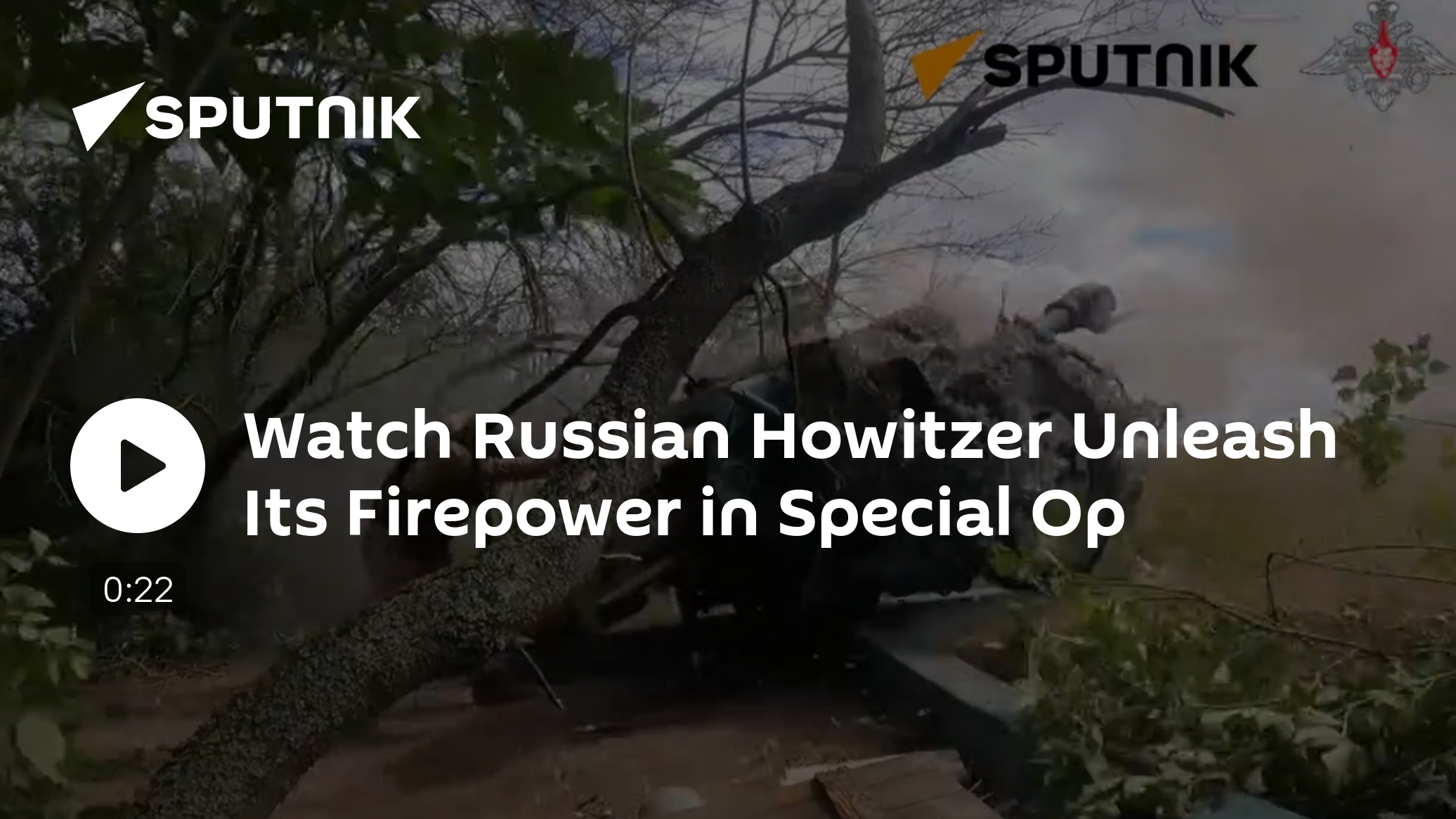Watch Russian Howitzer in Combat Action in Special Op Zone - Vimarsana News
