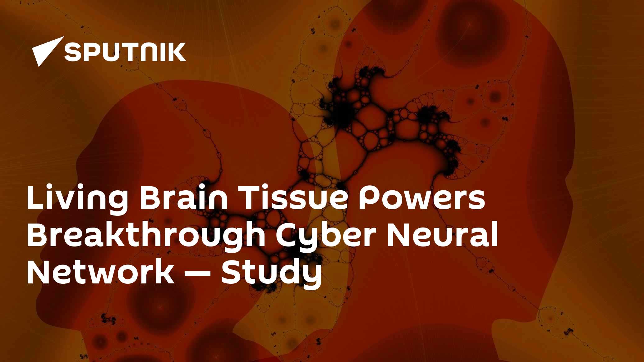 Living Tissue Transforms Cyber Networks into Neural Wonders - Vimarsana News