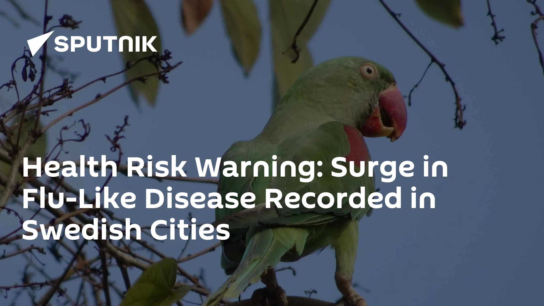Health Risk Warning: Surge in Flu-Like Disease Recorded in Swedish Cities
