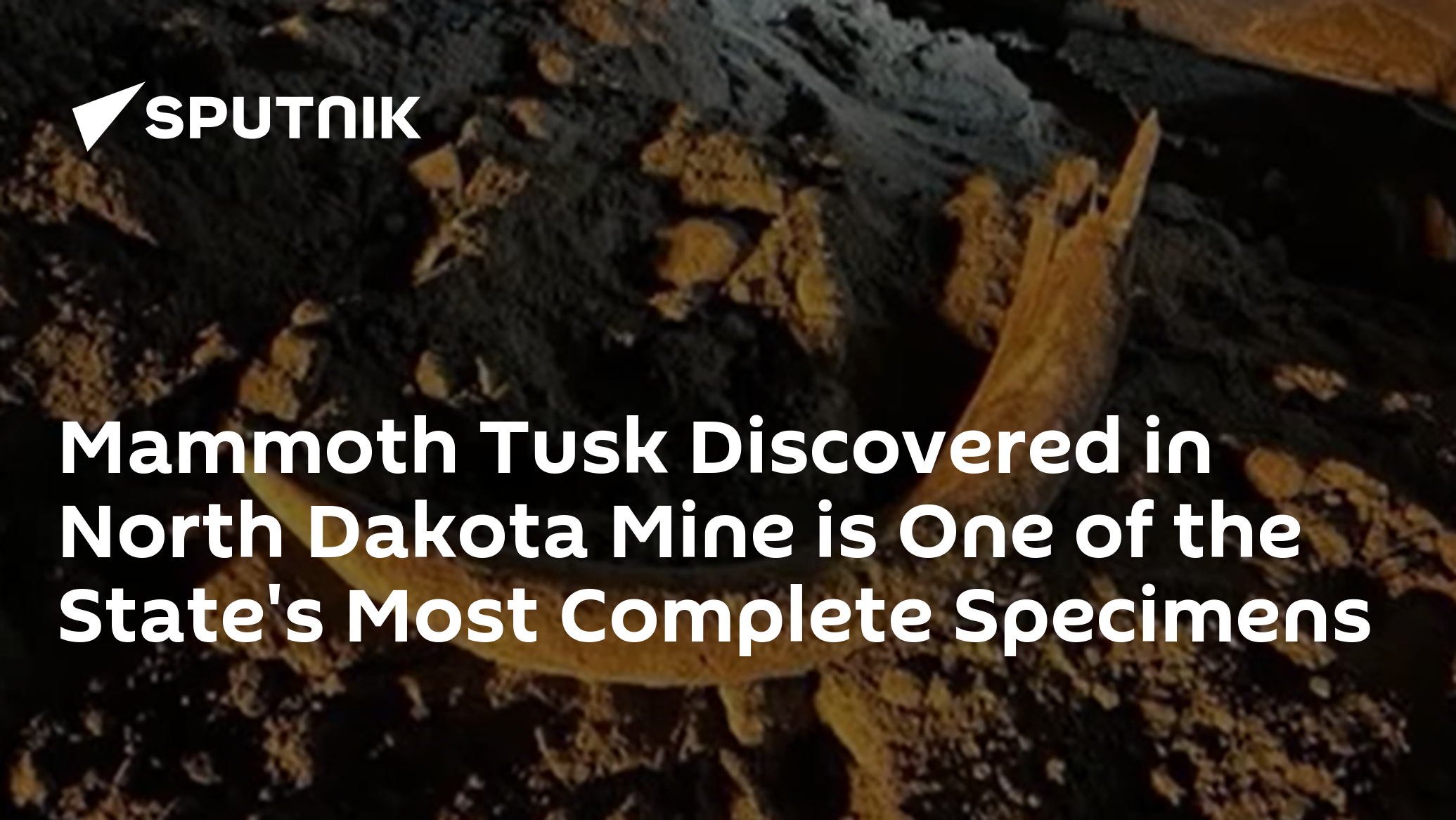Mammoth Tusk Discovered in North Dakota Mine is One of the State's Most