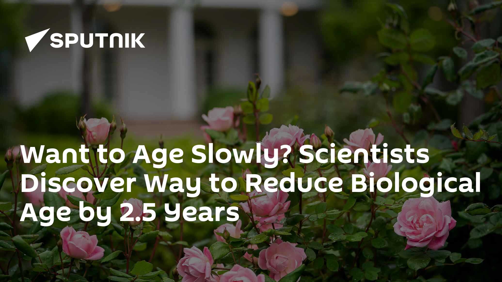 Want To Age Slowly? Scientists Discover A Way To Reduce Biological Age ...