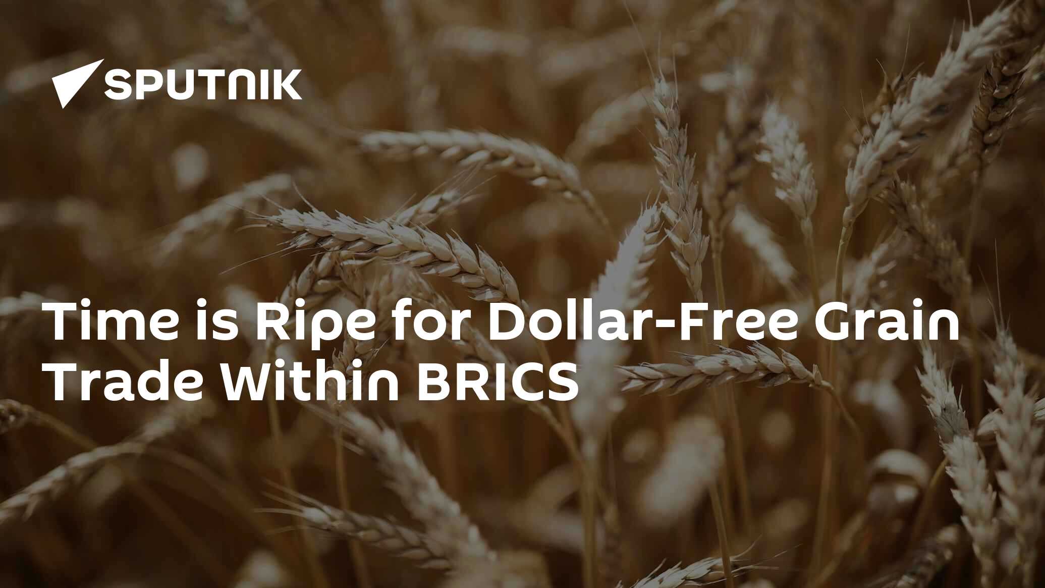 TIME IS RIPE FOR DOLLAR-FREE GRAIN TRADE WITHIN BRICS

Expanded BRICS, a club of major developing ...